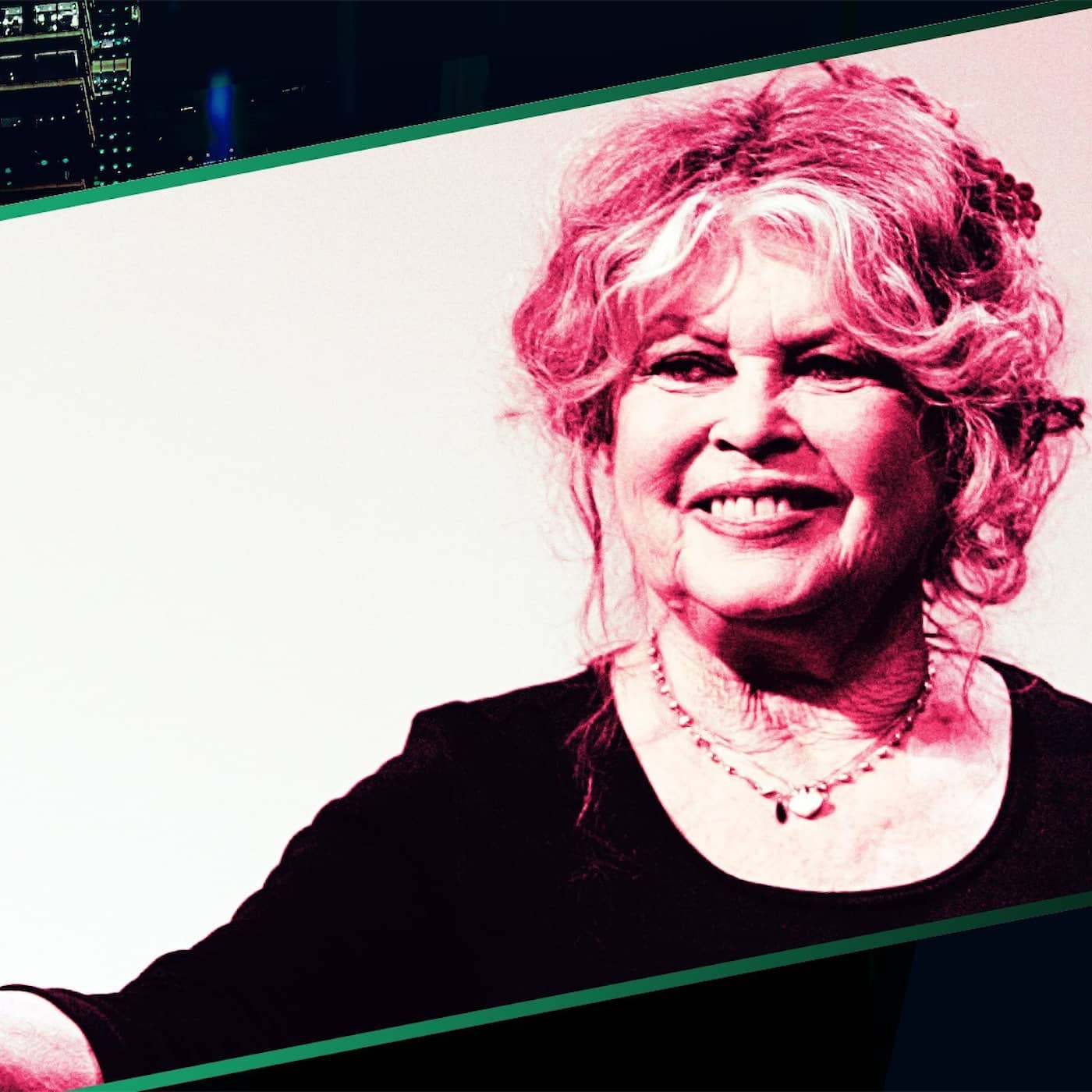 Brigitte Bardot – ”mer djur än människa” artwork