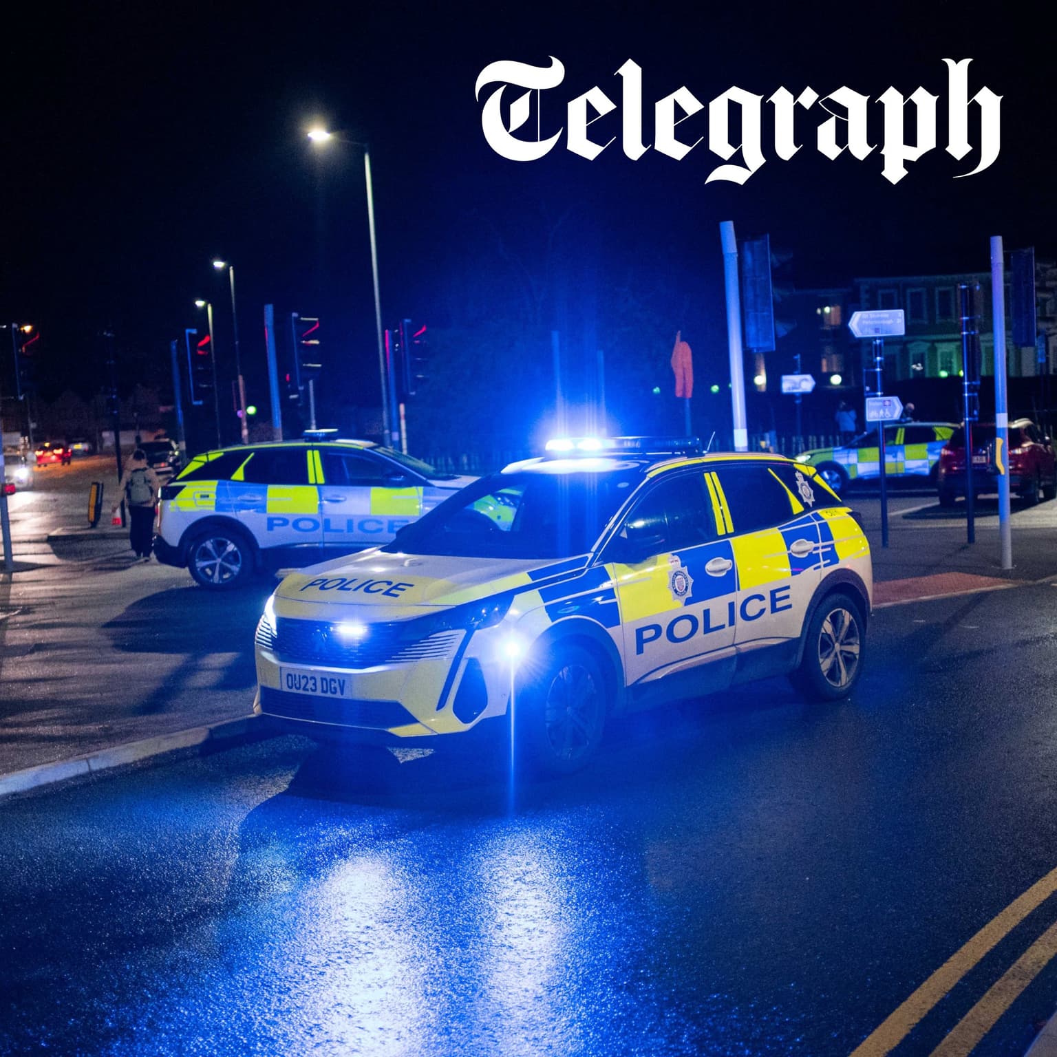 'Why are we shocked at knife crime? It's rampant': Peter Bleksley on lawless Britain' artwork