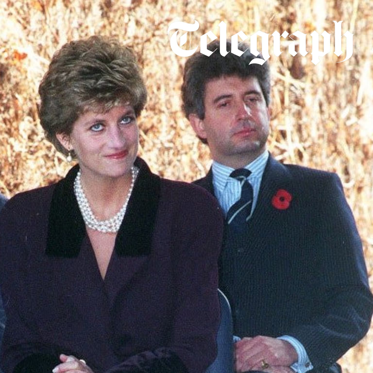 Vindicated: Diana's private secretary on Bashir's BBC betrayal artwork