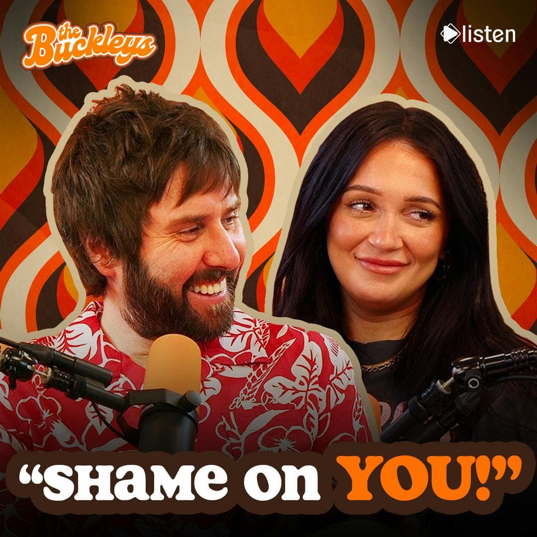 Shame on YOU! artwork
