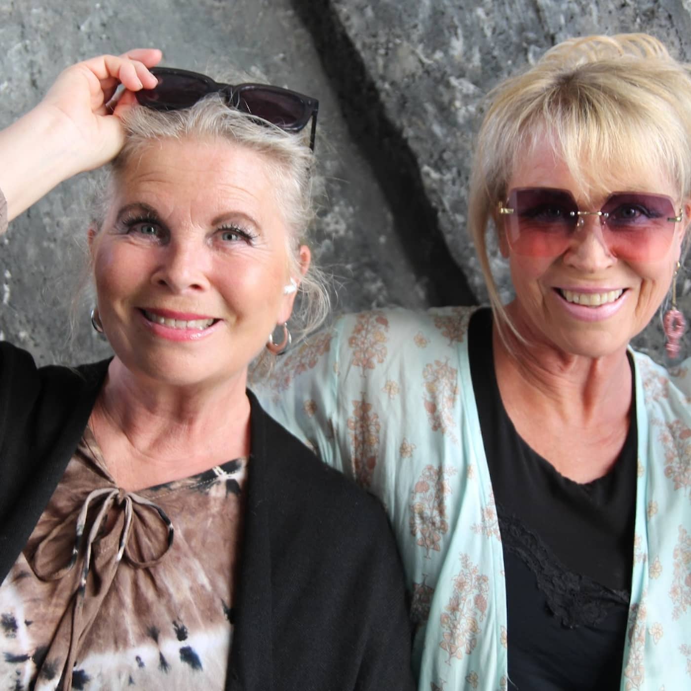 Lili & Susie: Vi vill ha tillbaka folkparkerna artwork