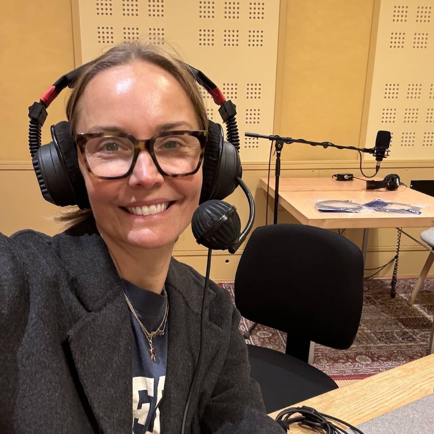 Carina Berg: ”Jag visste inte vad förklimakteriet var” artwork