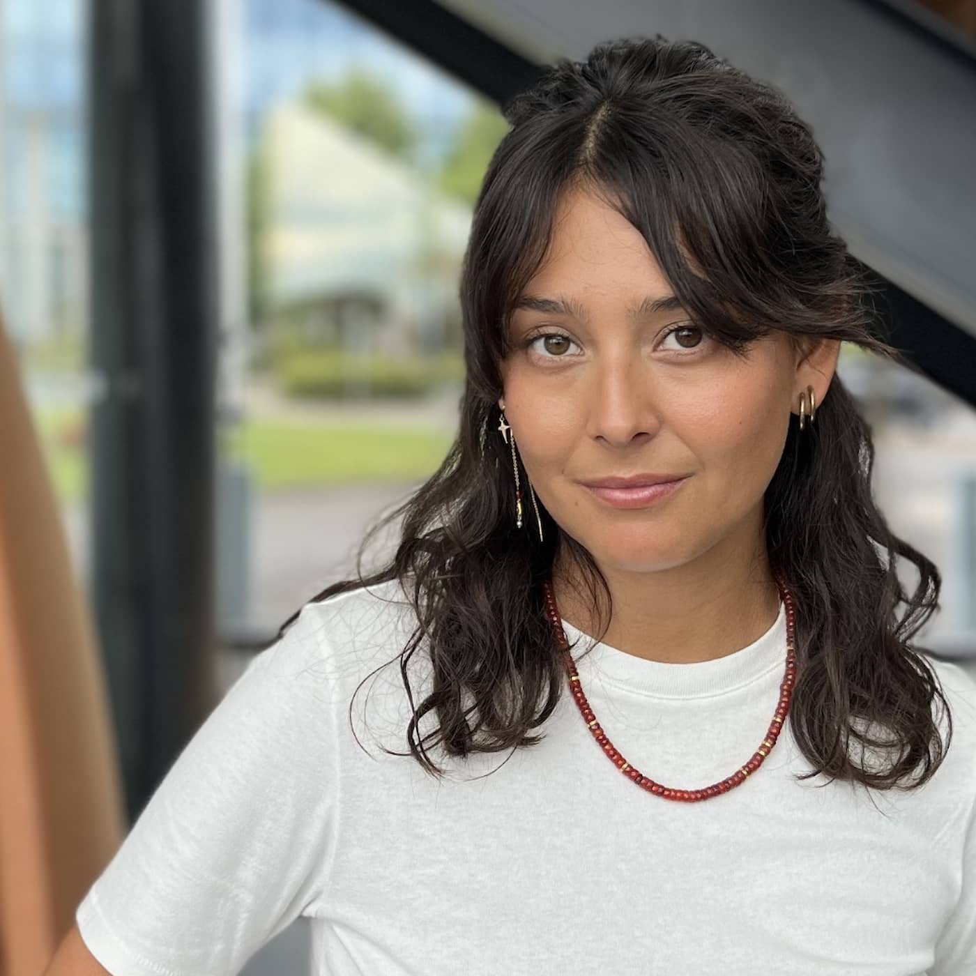 Nora Rios stoppades av polisen: Det kom knarkhundar artwork