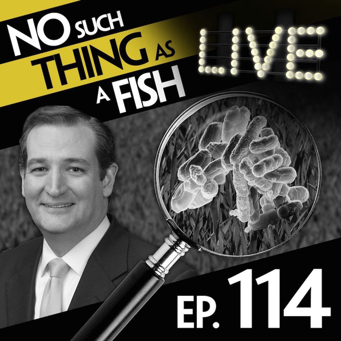 No Such Thing As A Tantrump artwork