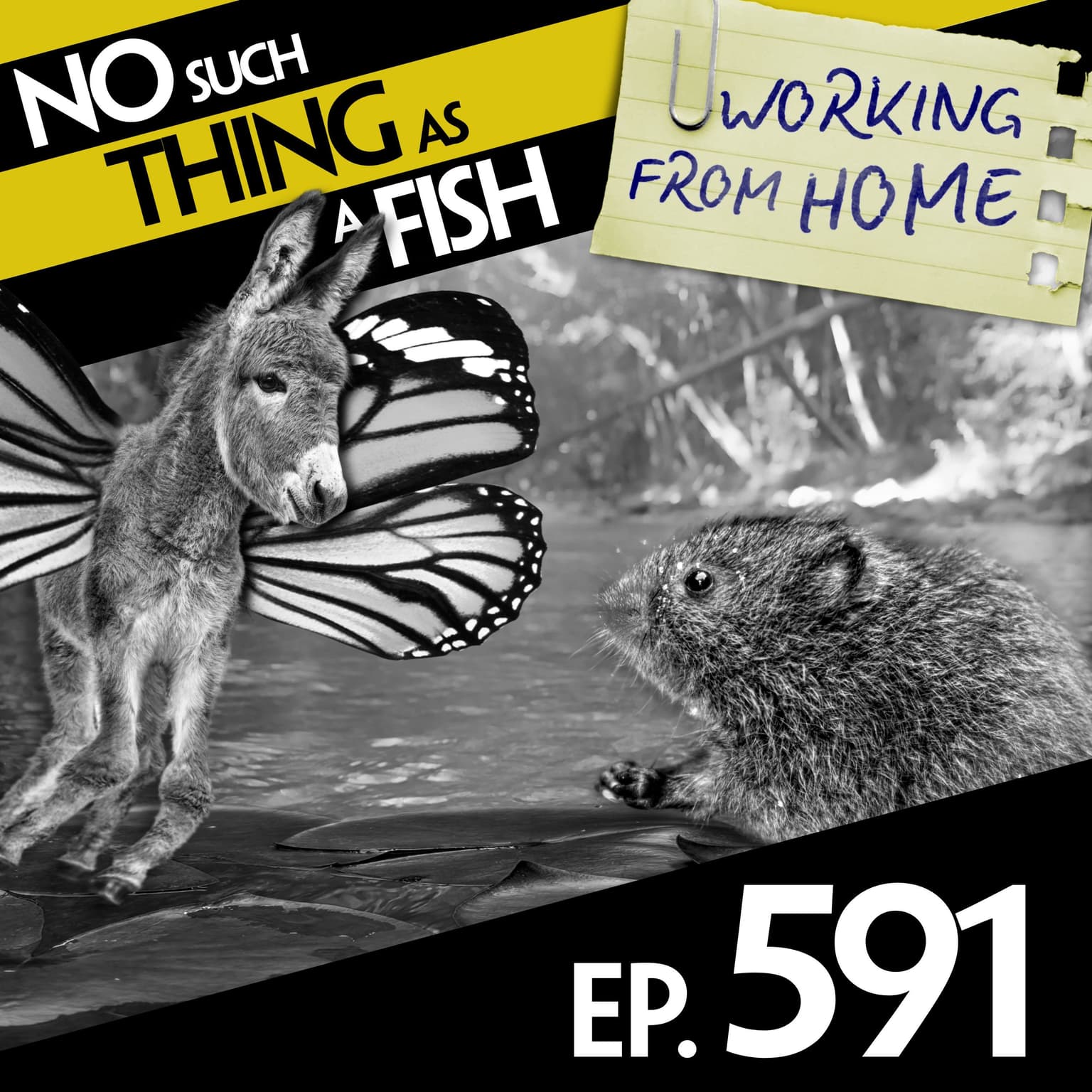 No Such Thing As Anti-Schmetterling Schnibbles artwork