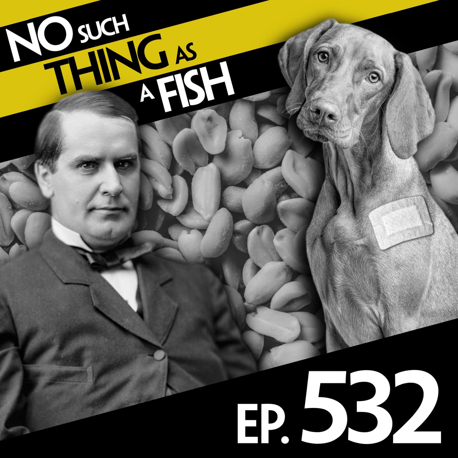 No Such Thing As 'Is It Mushroom?' artwork