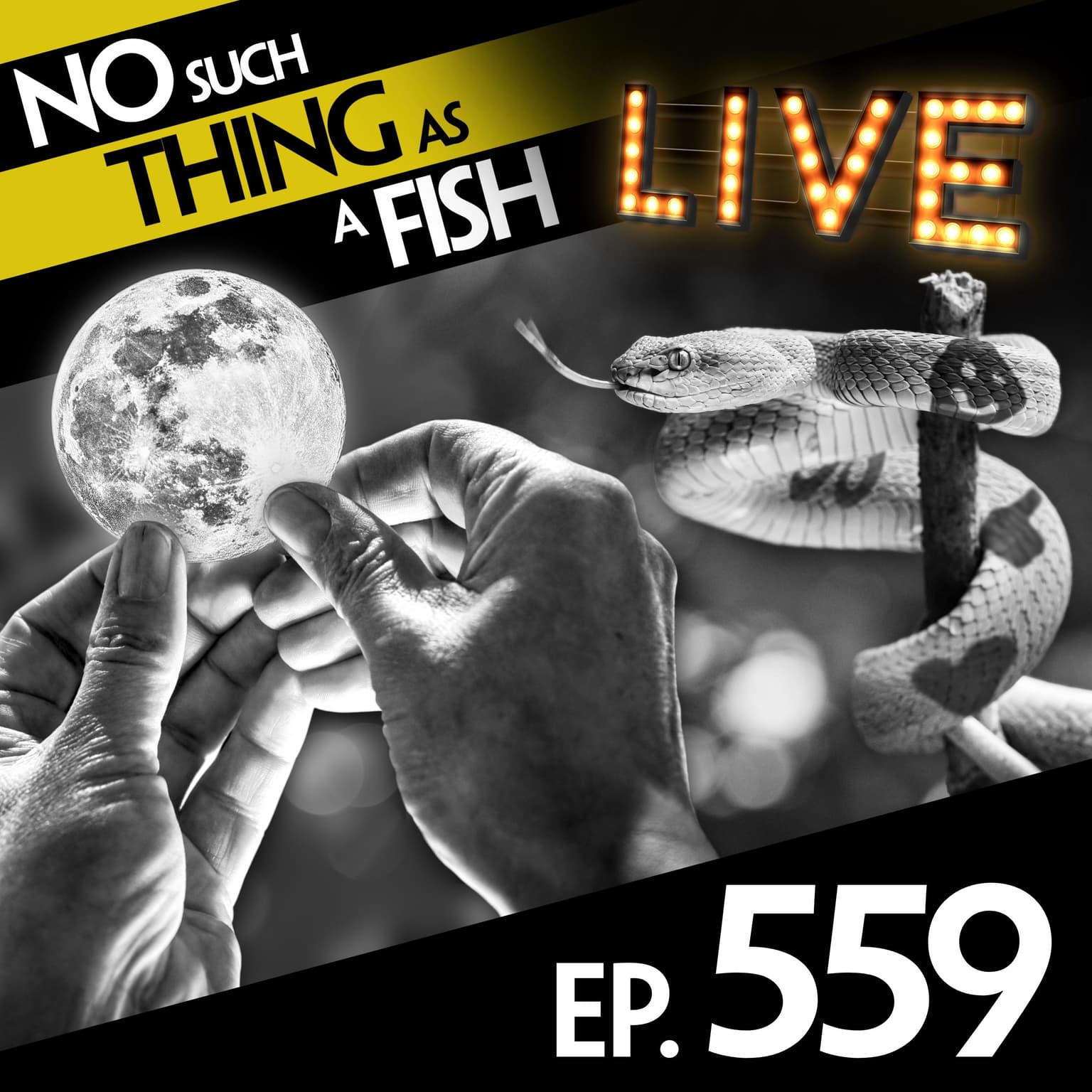 No Such Thing As Fishing In The Sea Of Tranquility artwork