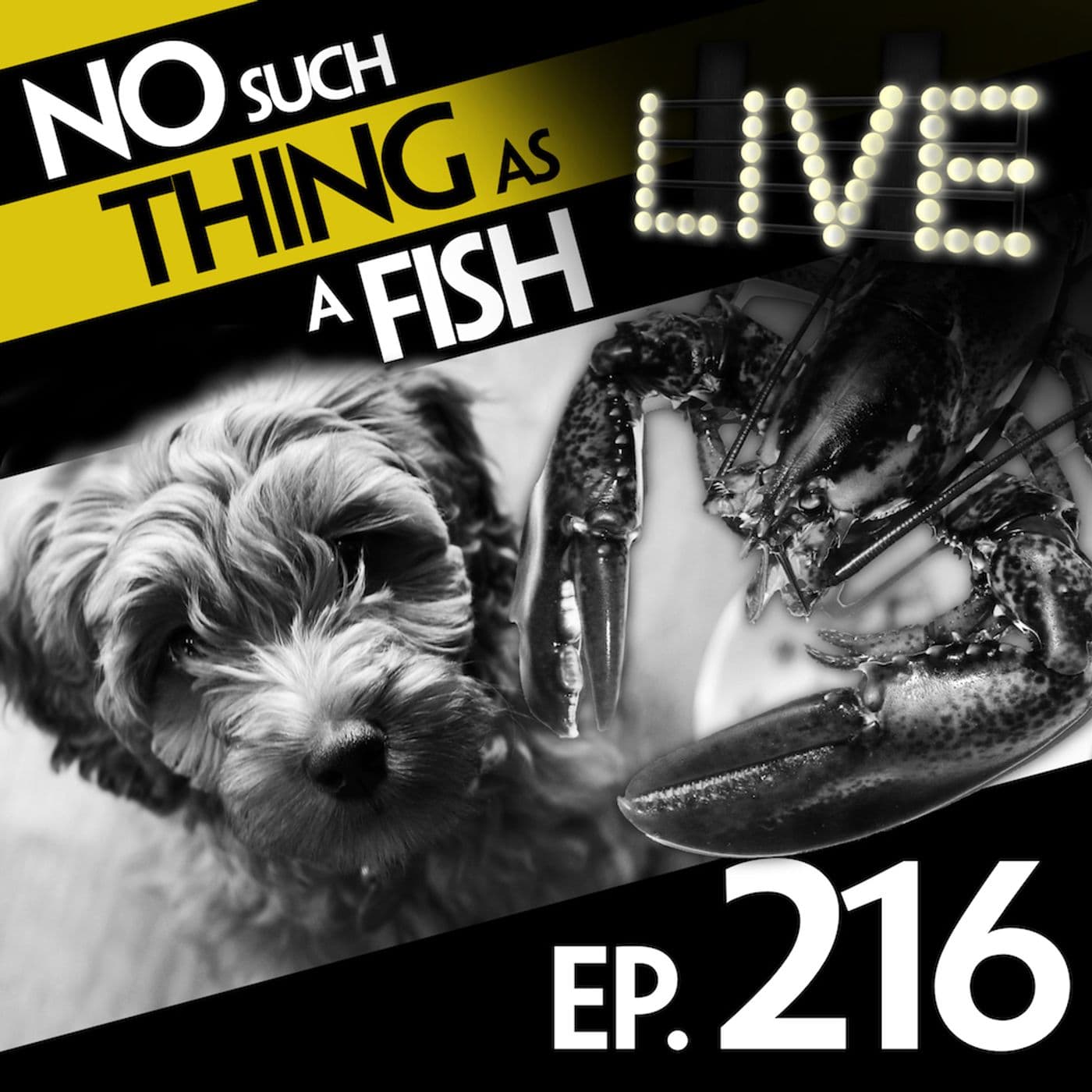 No Such Thing As A Lobster War artwork