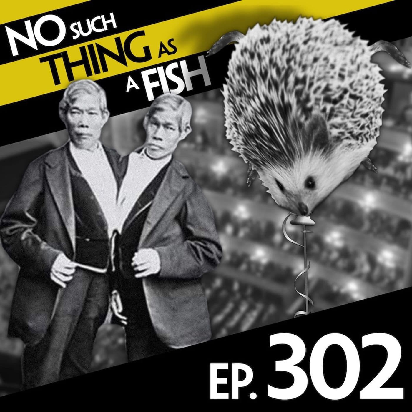 No Such Thing As A Hedgehog Circus artwork