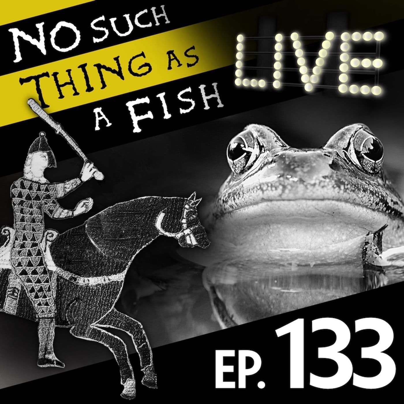 No Such Thing As Paranoid Ants artwork