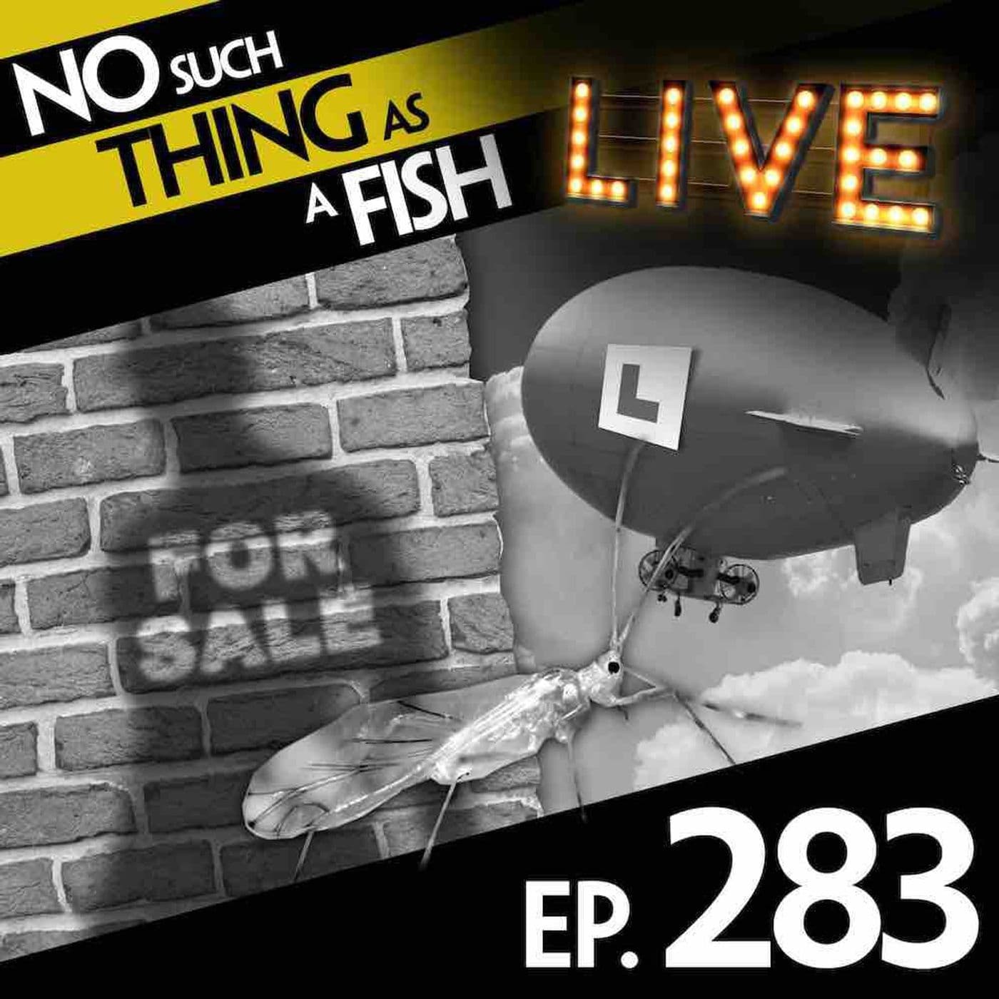 No Such Thing As A Lost Shadow artwork