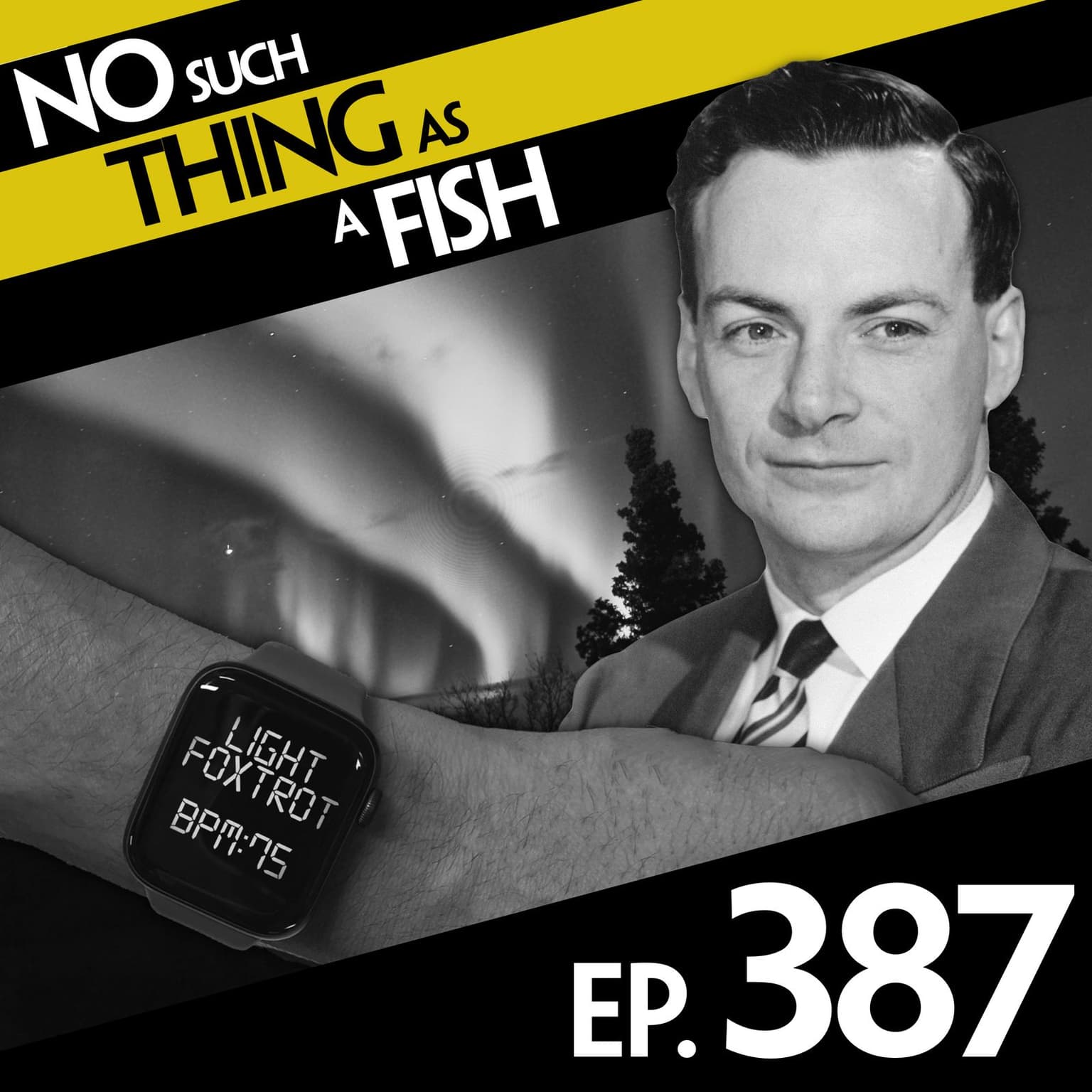 No Such Thing As The Northern Lights artwork