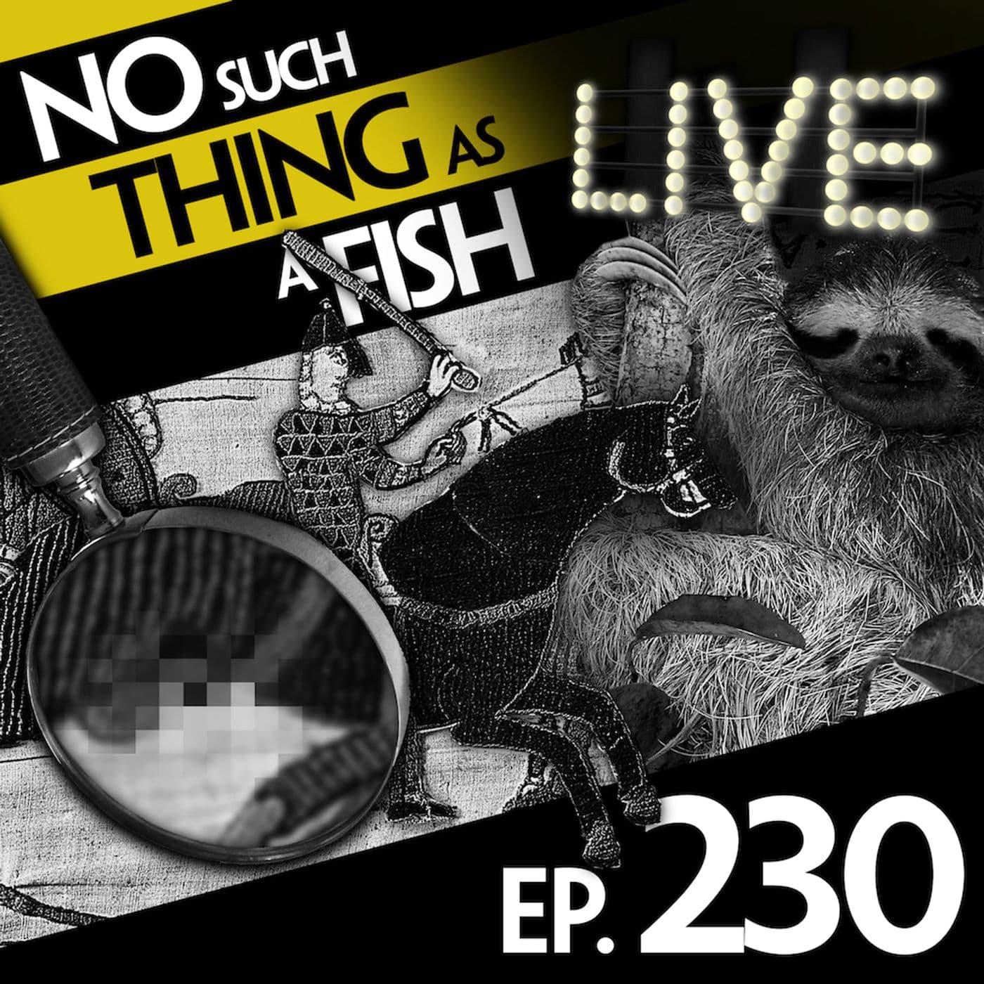 No Such Thing As Tinder For Sloths artwork