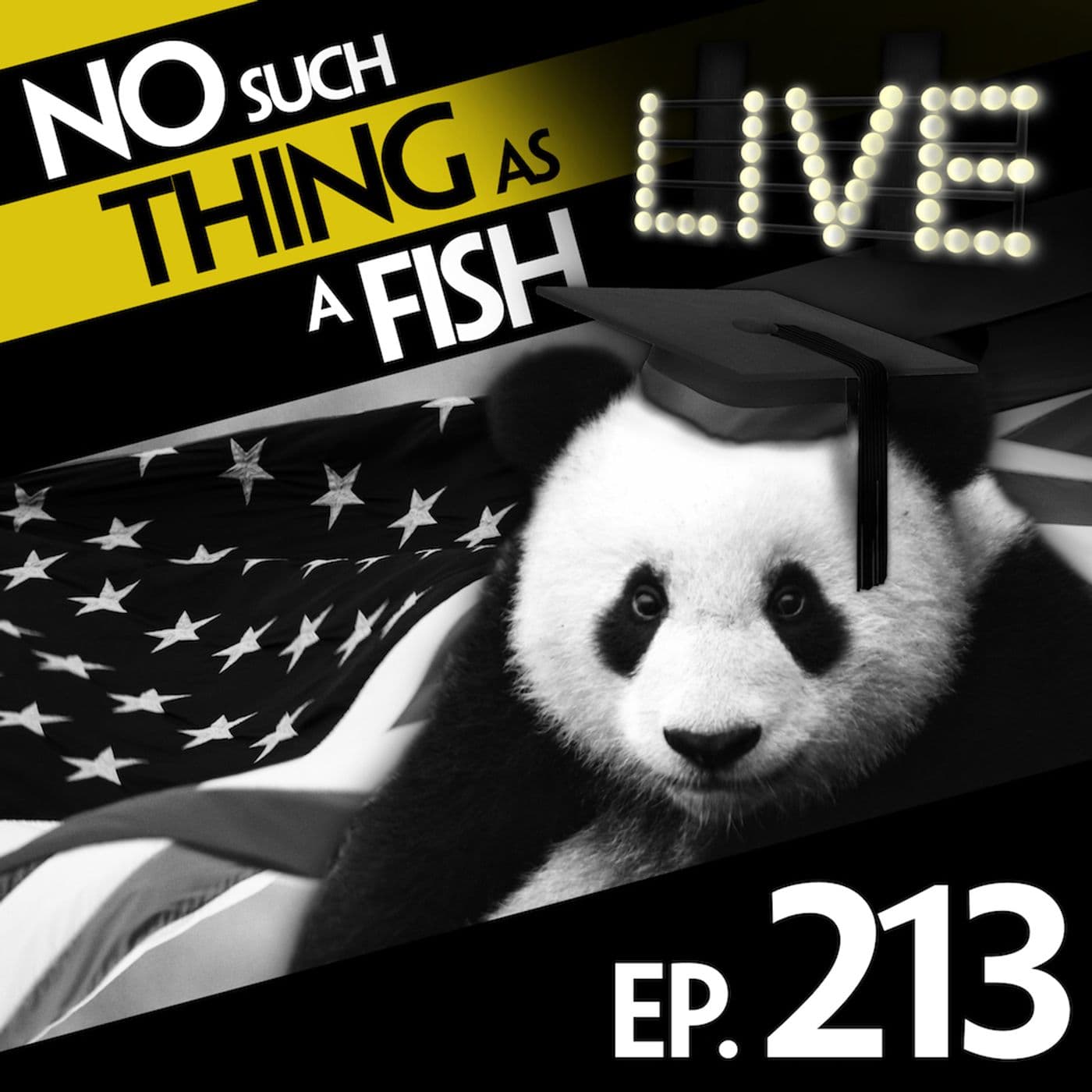 No Such Thing As Panda Gladiators artwork