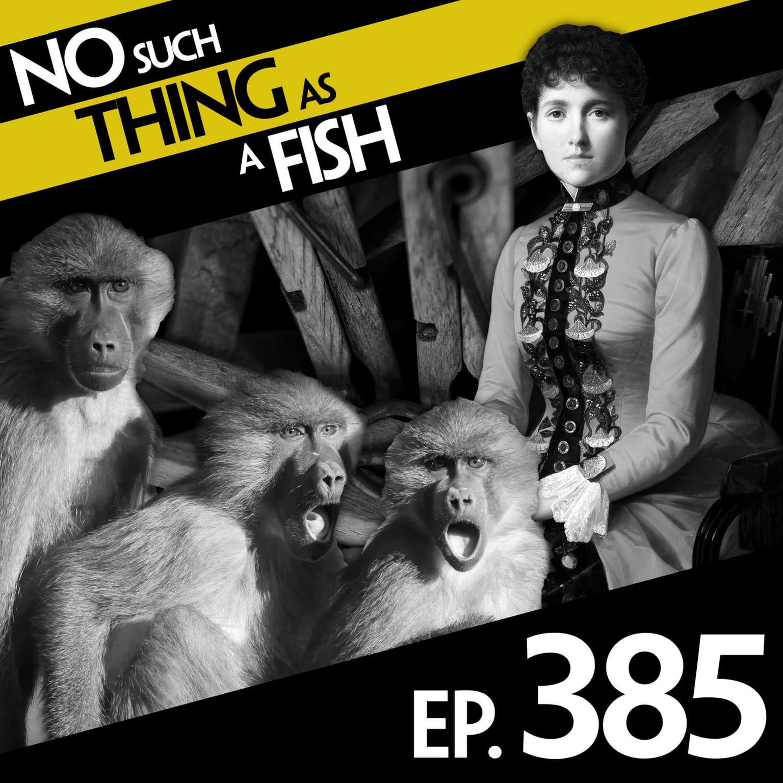 No Such Thing As Crossing the Futility Boundary artwork