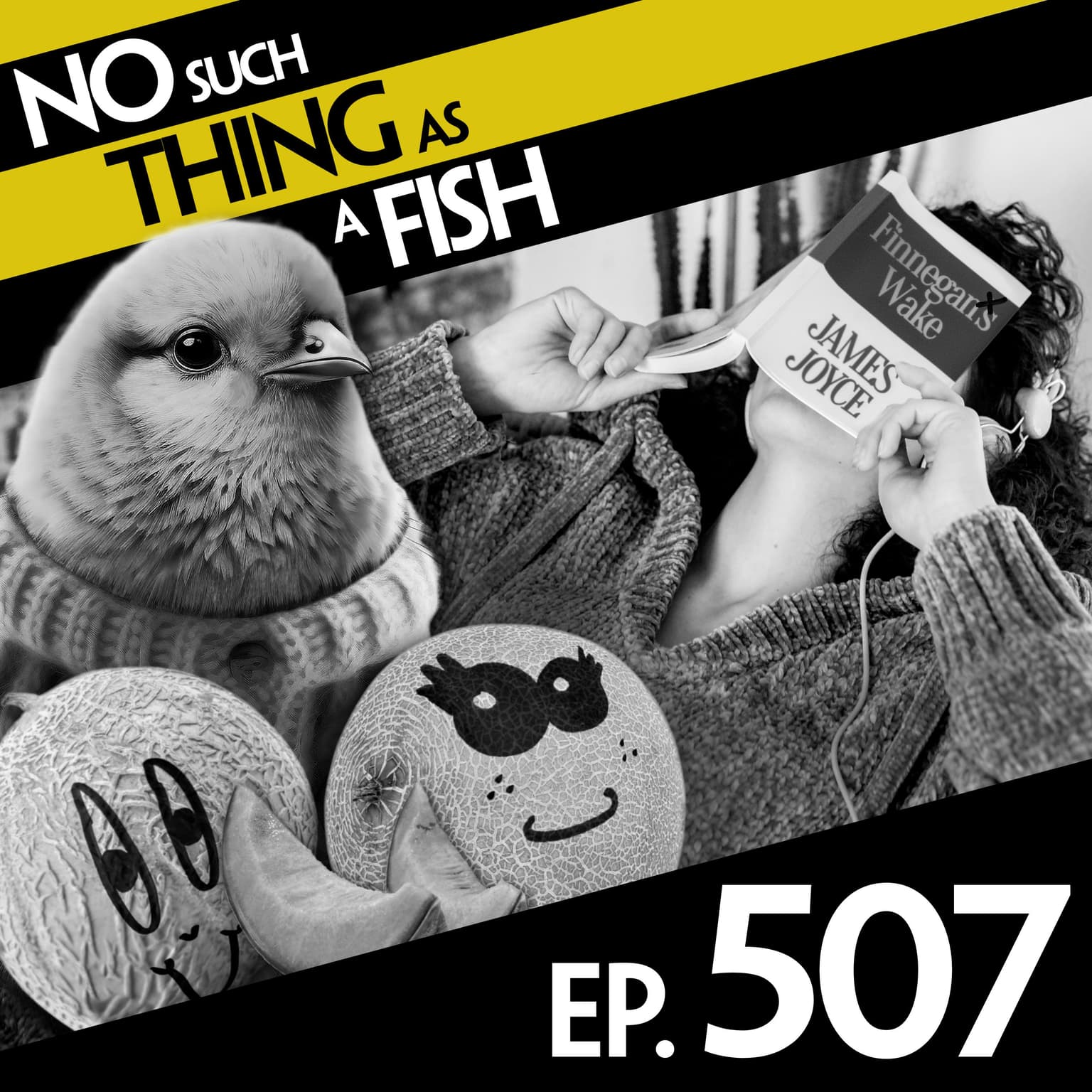 No Such Thing As Fangtooth Boxing artwork