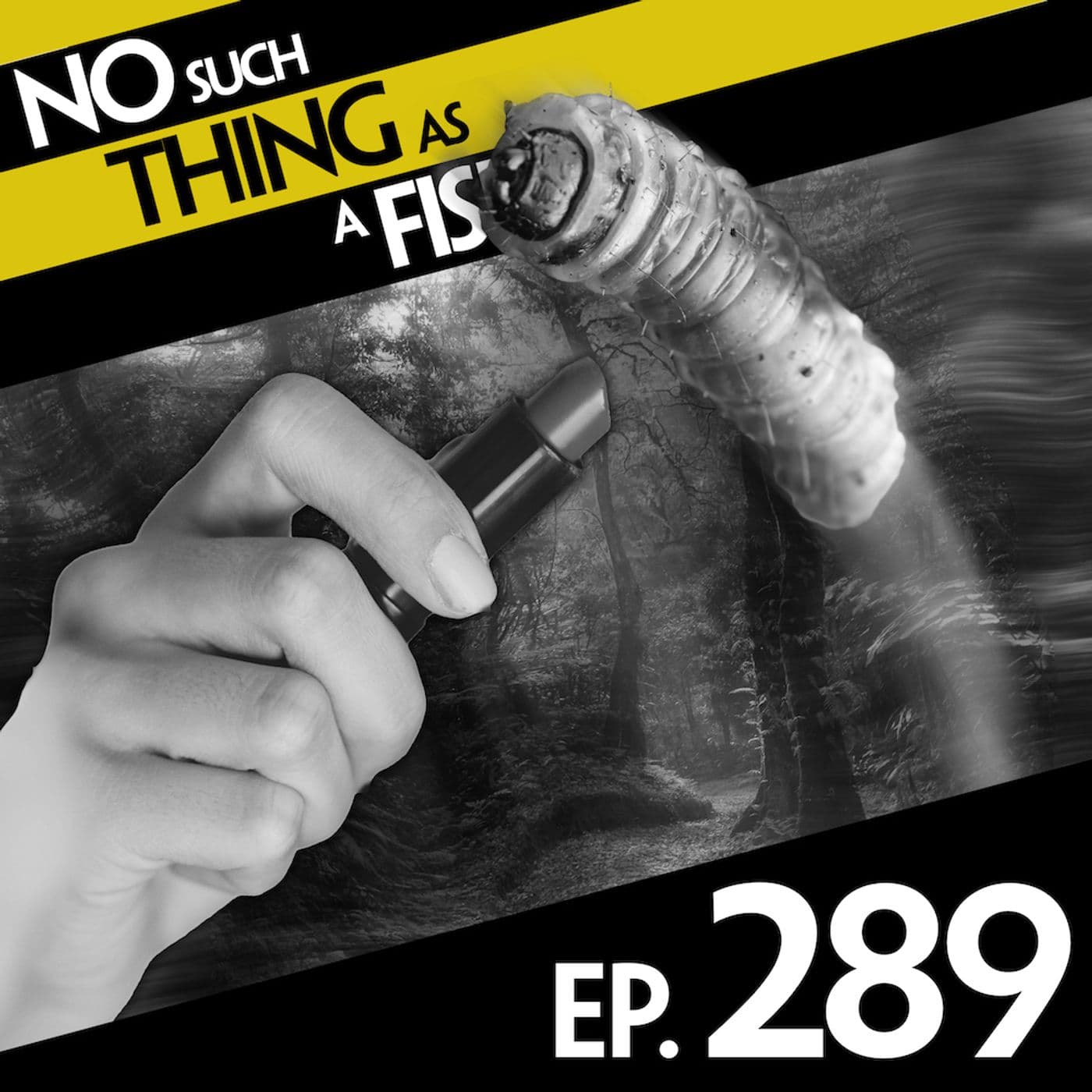 No Such Thing As A Horse Called Brian artwork