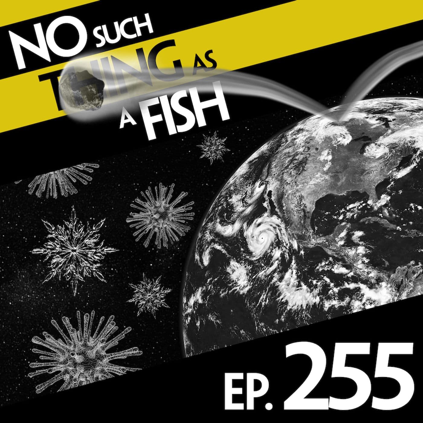 No Such Thing As A Bouncy Asteroid artwork