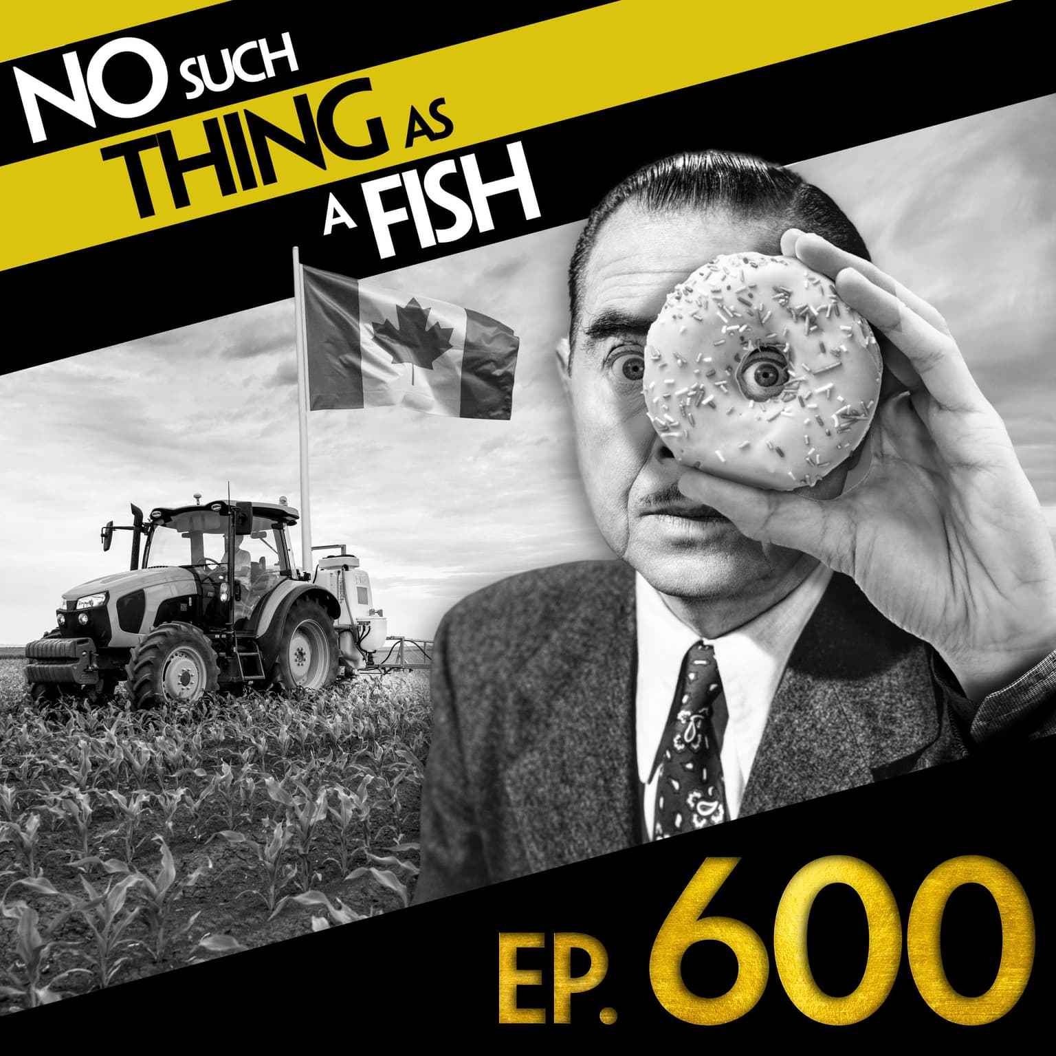No Such Thing As The Doughnut Ambassador artwork