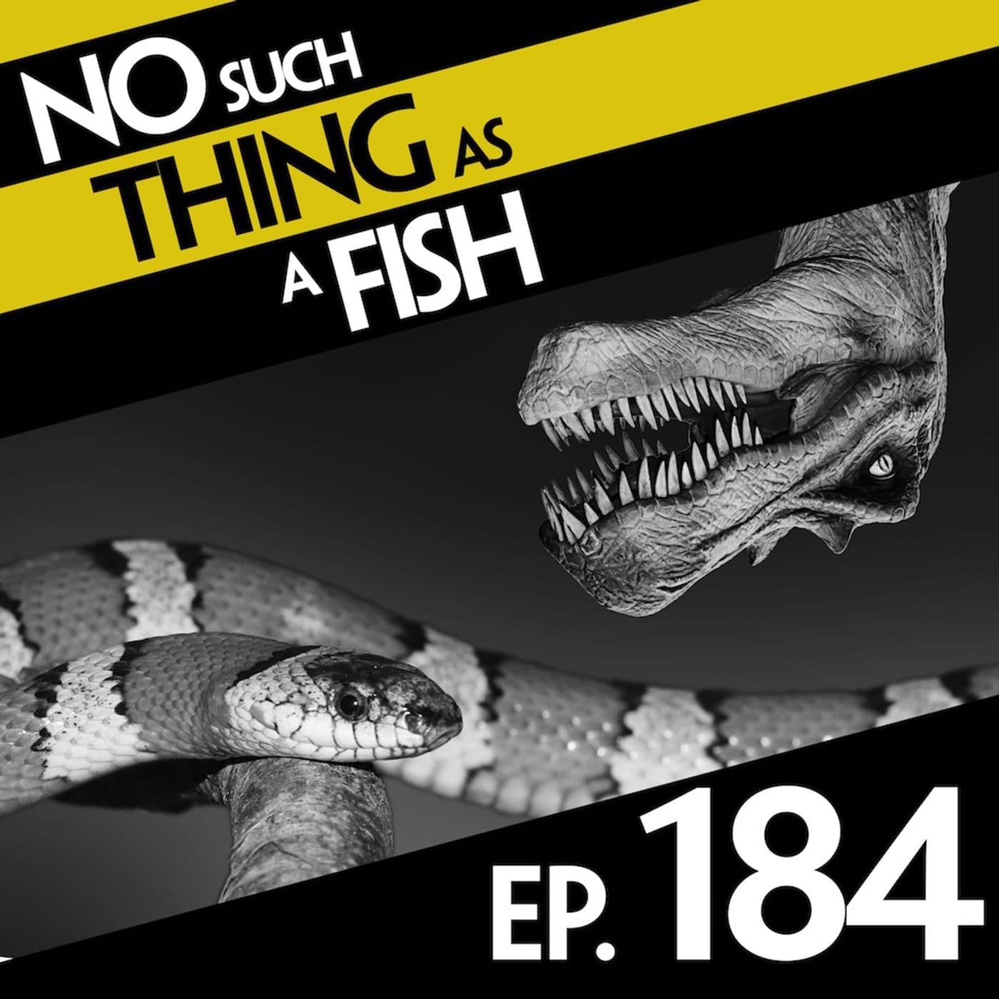 No Such Thing As Dinosaur Diaries artwork