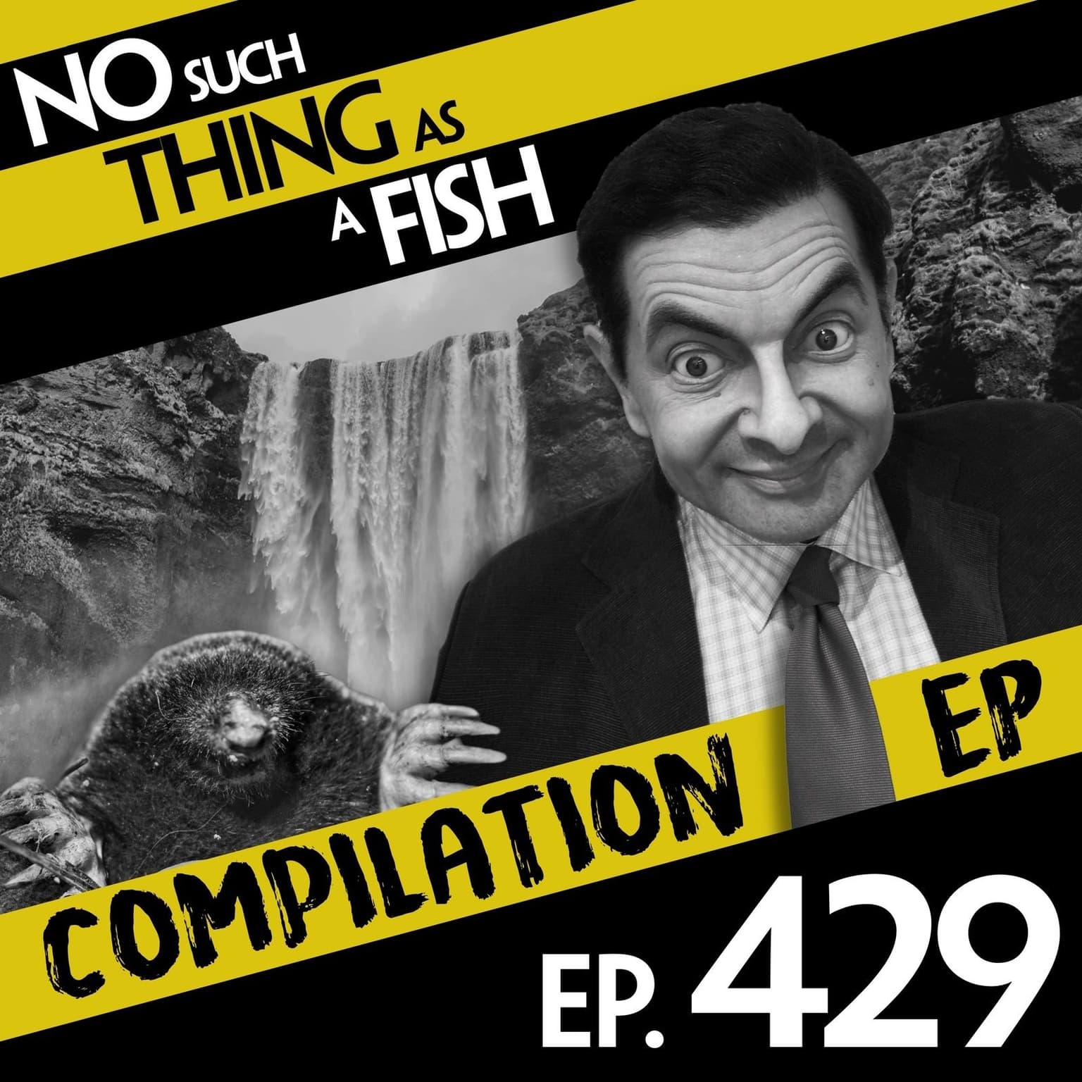 No Such Thing As Newsbite artwork