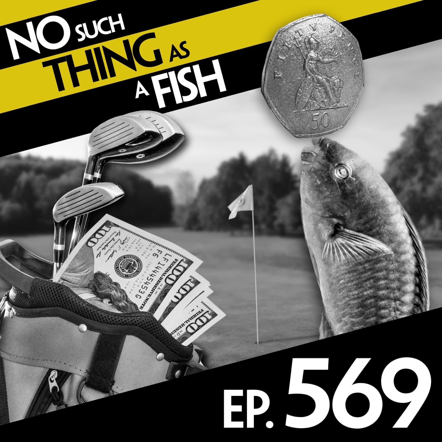 No Such Thing As Jousting Parrotfish artwork