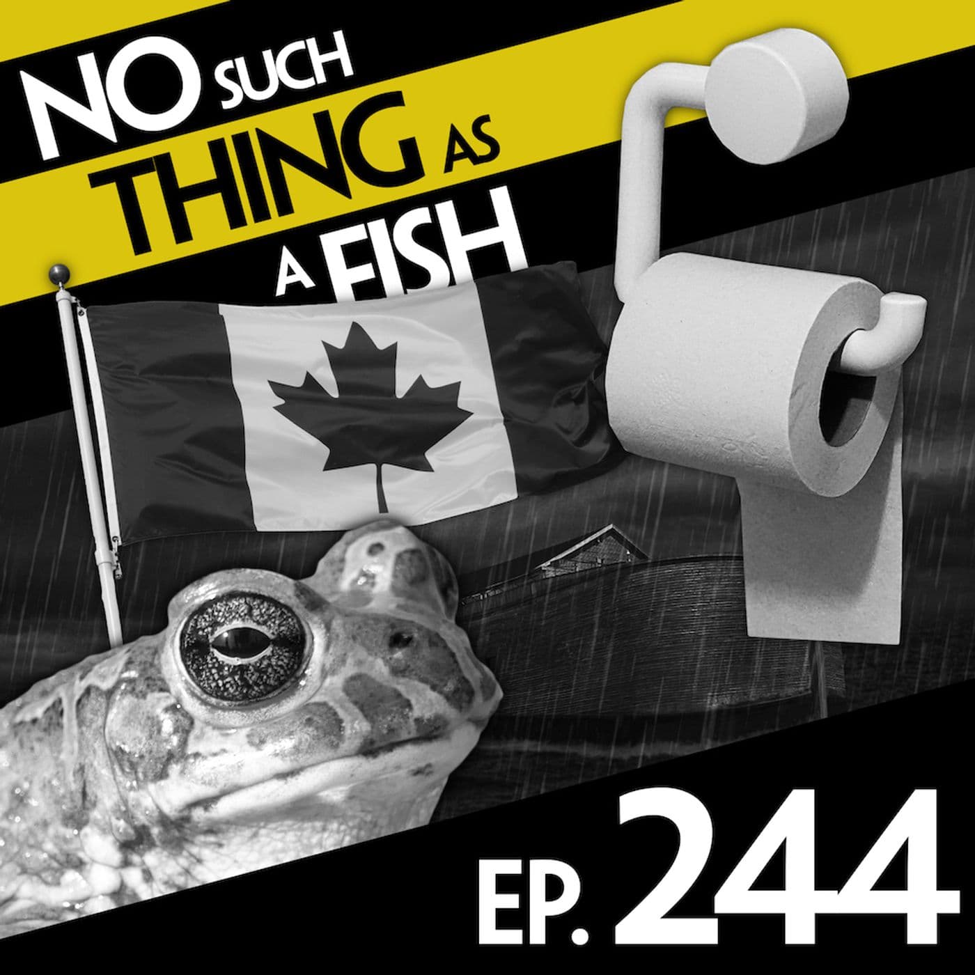No Such Thing As A Fishman artwork