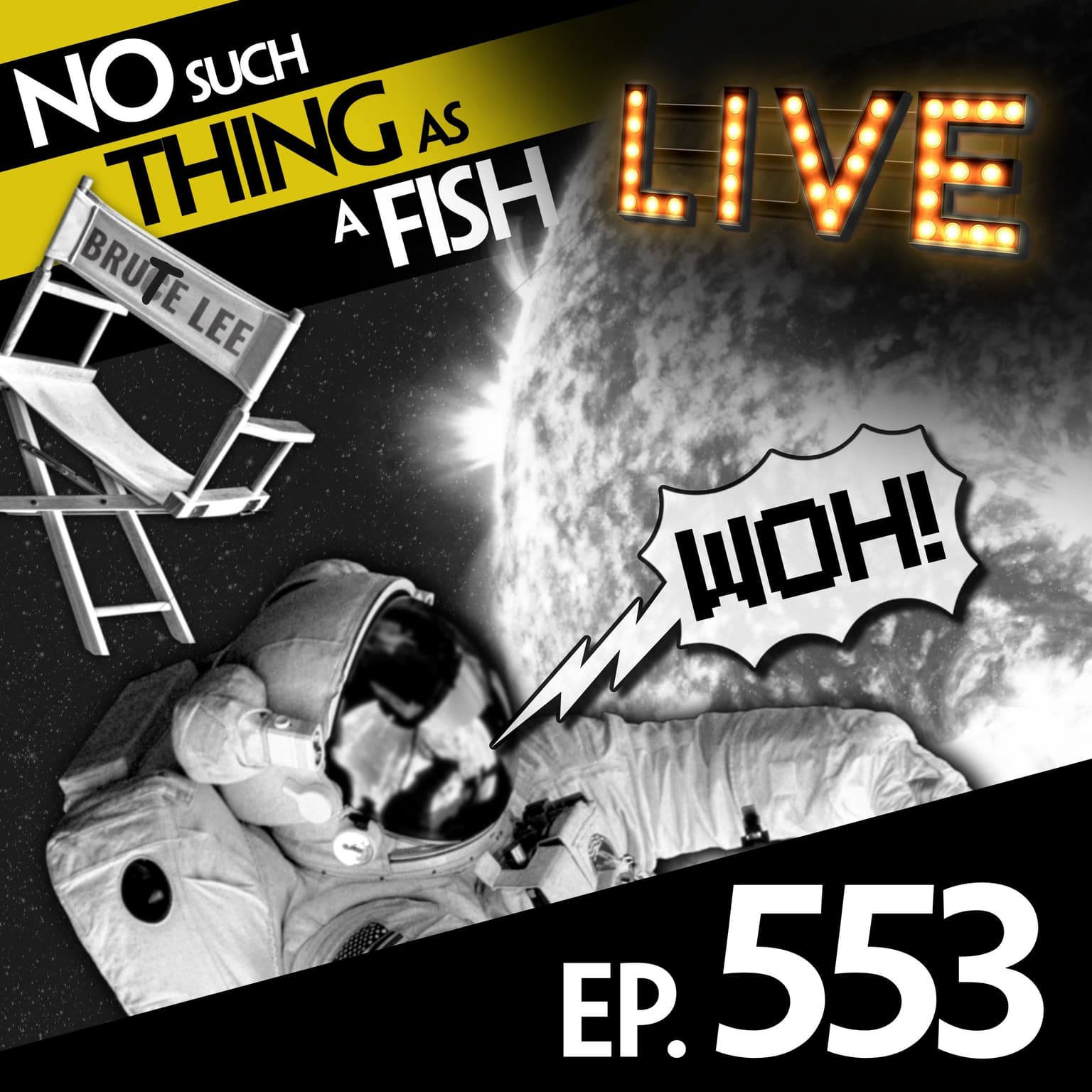 No Such Thing As A Shooting Star artwork
