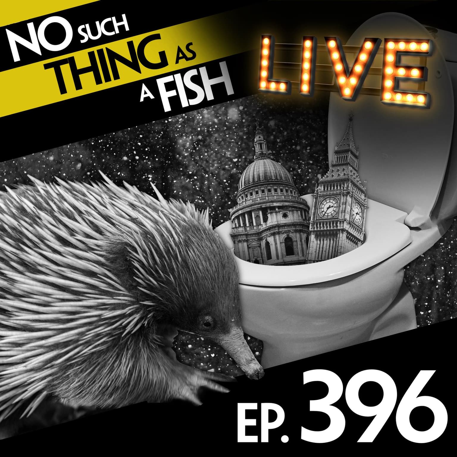 No Such Thing As The Echidna Prince Charming artwork