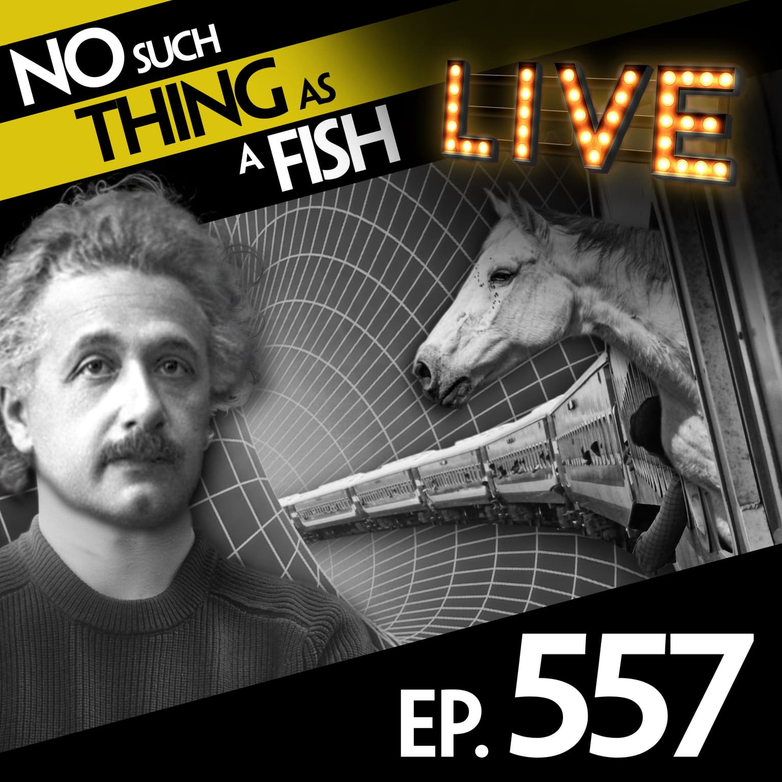 No Such Thing As A Sweater For Einstein artwork