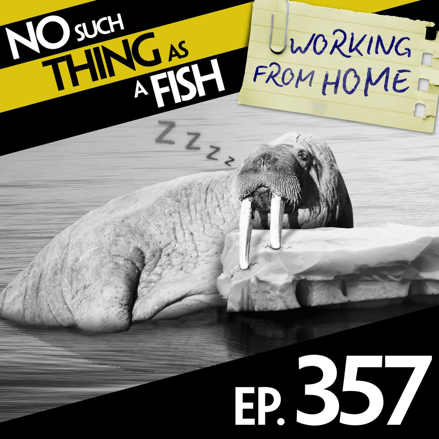No Such Thing As A Rapidly Deflating Walrus artwork
