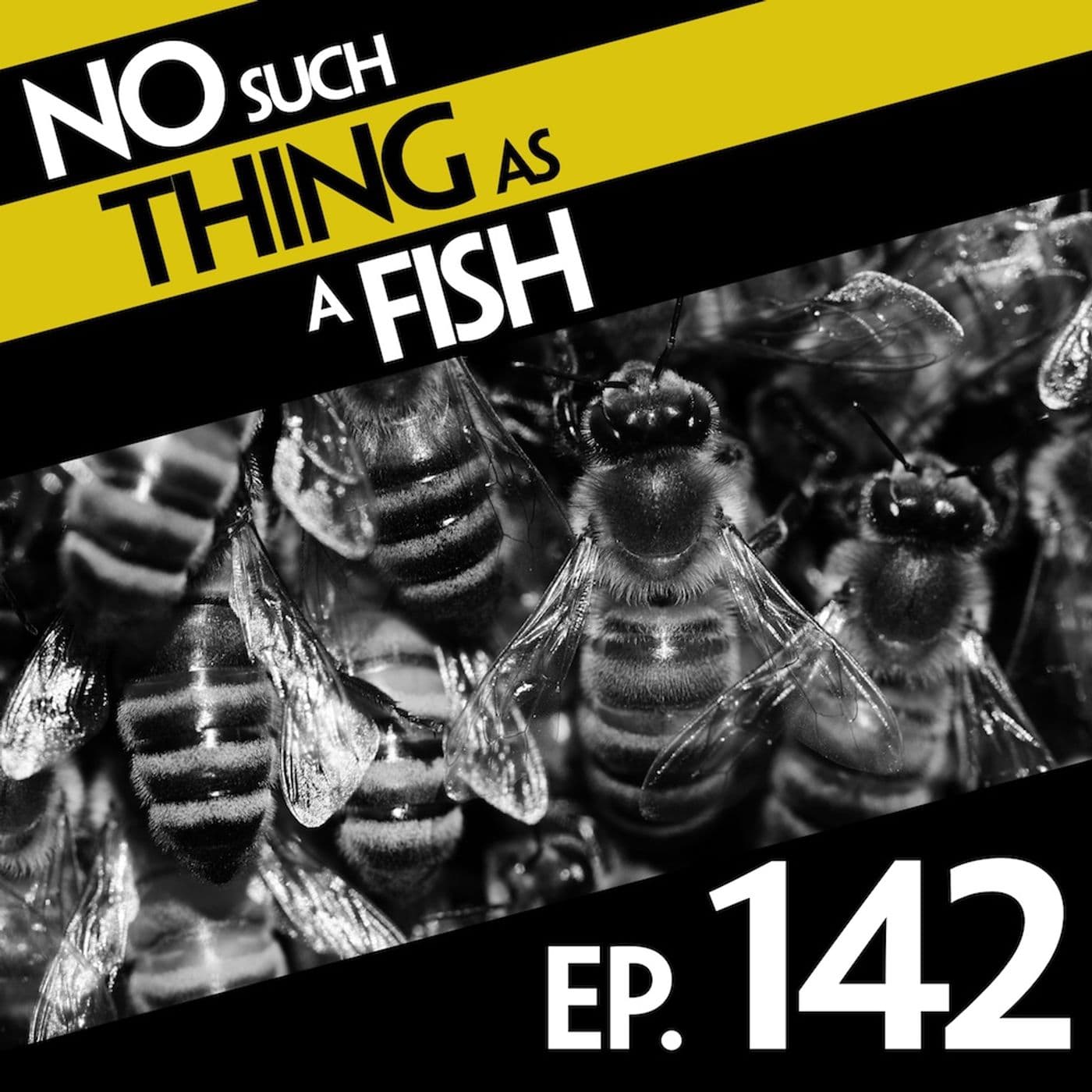 No Such Thing As Edward Binbag-Hands artwork