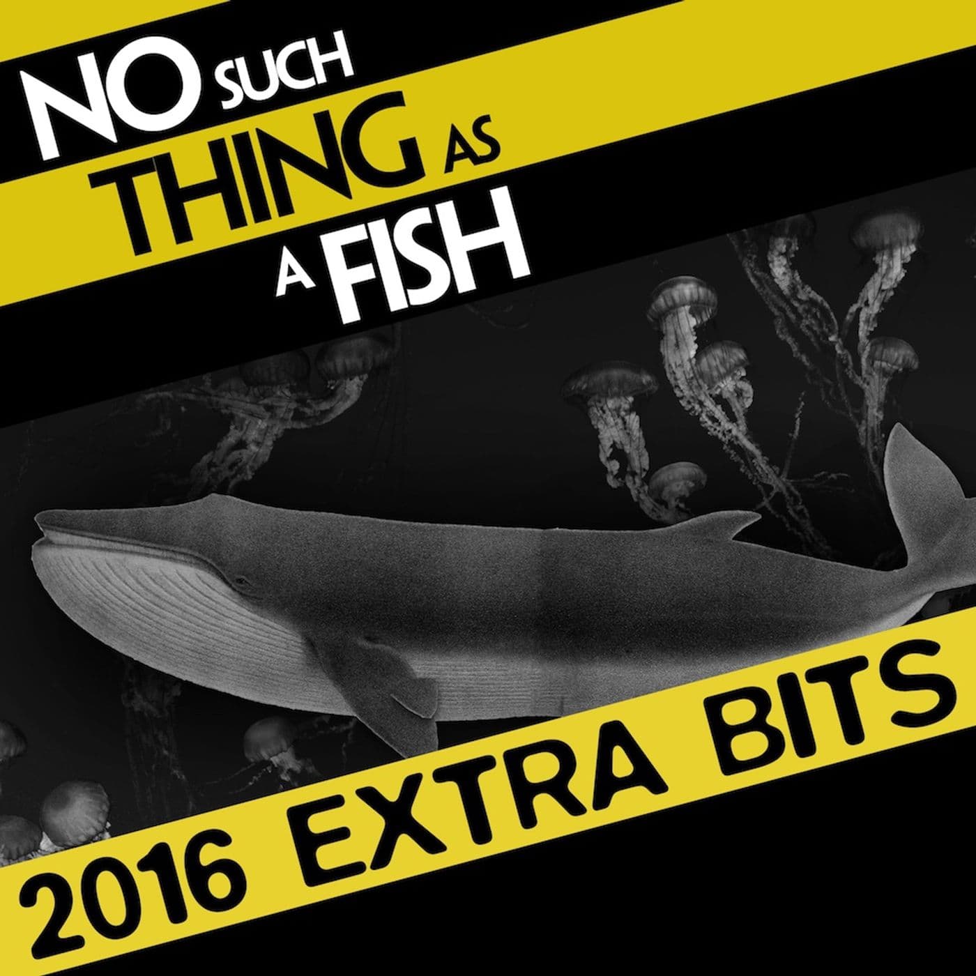 No Such Thing As A Fish - Extra Bits artwork
