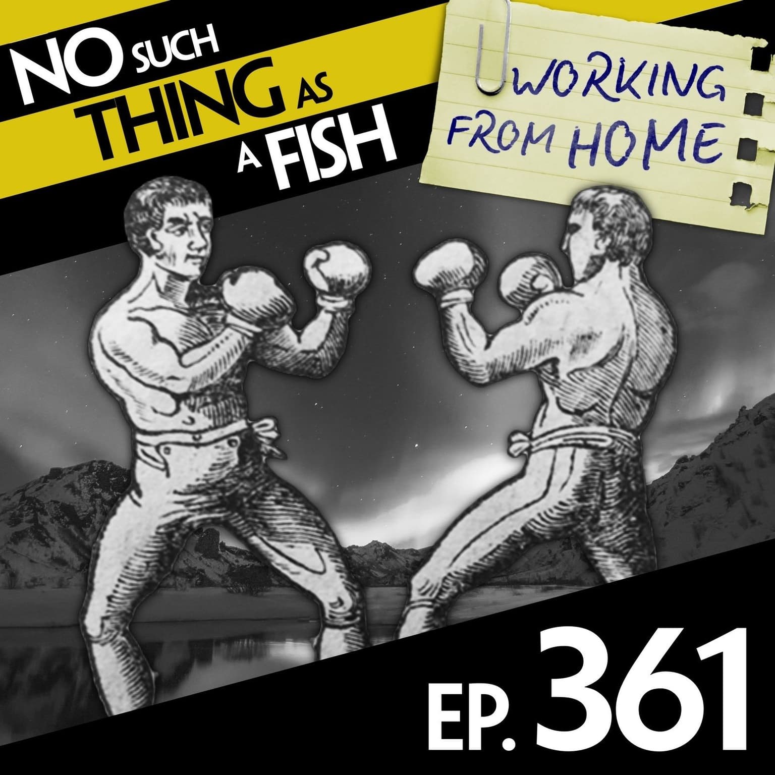 No Such Thing As The Mosquito Effect artwork
