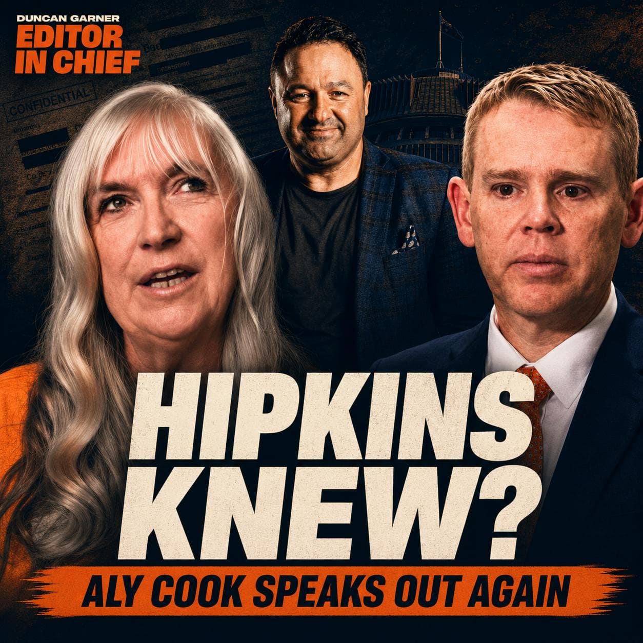 New Covid Papers Suggest Hipkins Did Know artwork