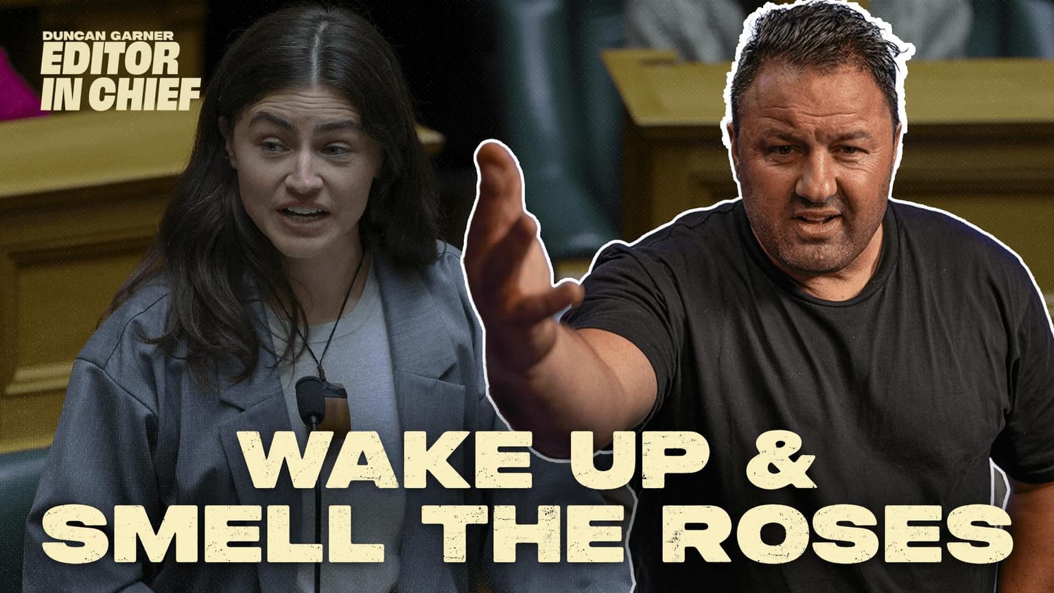 Why the Green Party's Plan is Sparking Controversy! artwork