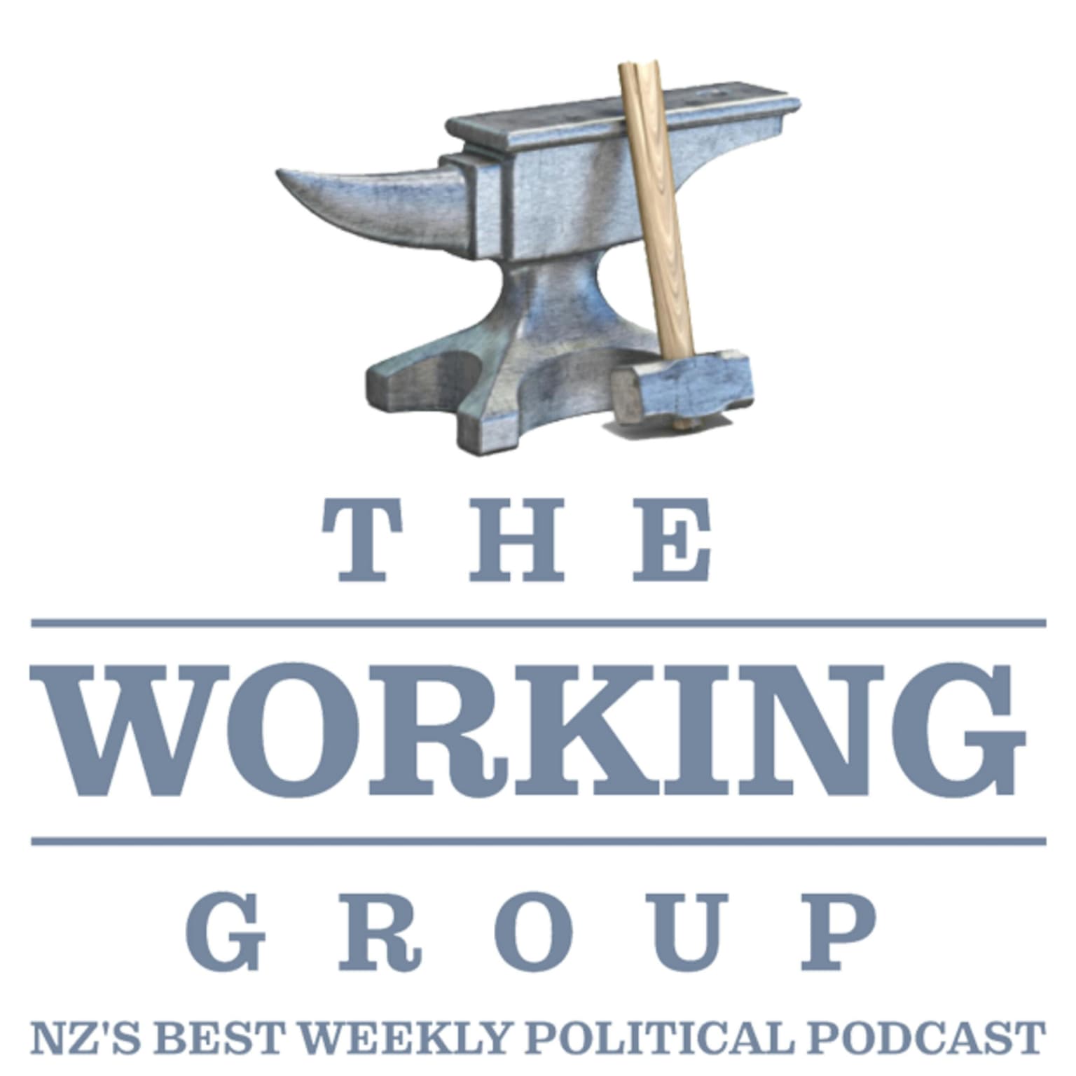 New podcast featuring David Seymour & Chris Penk : The Working Group artwork