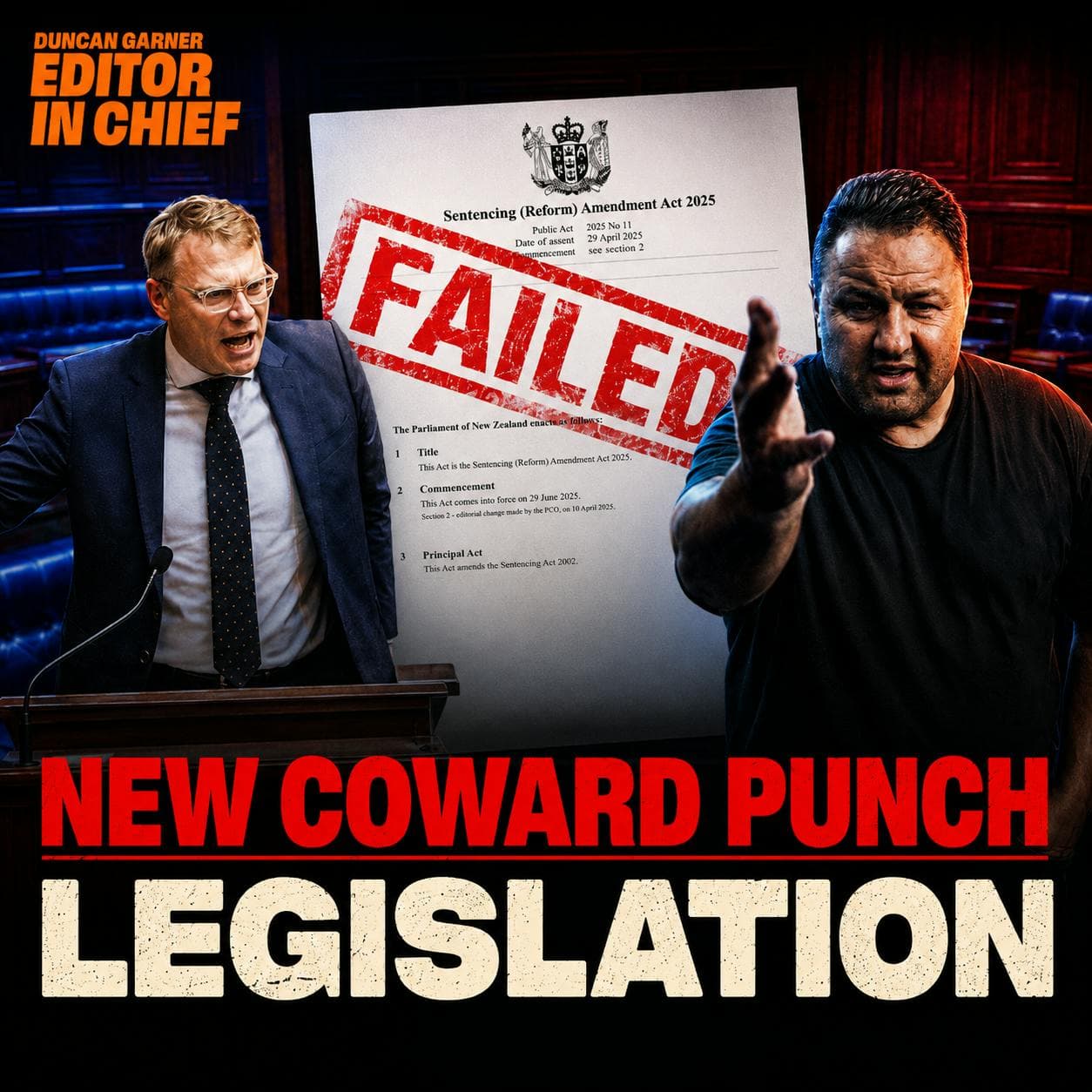 Coward Punch Law: Paul Goldsmith Challenged Over Weak Coward Punch Sentences artwork