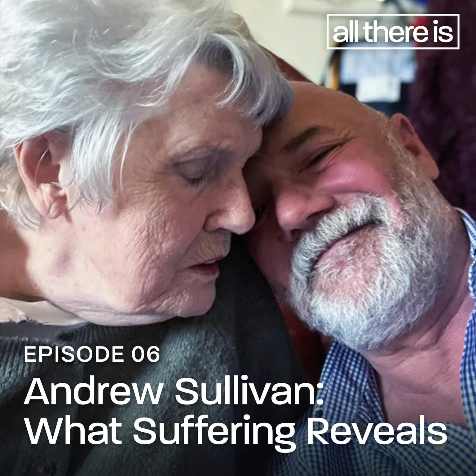 Andrew Sullivan: What Suffering Reveals artwork
