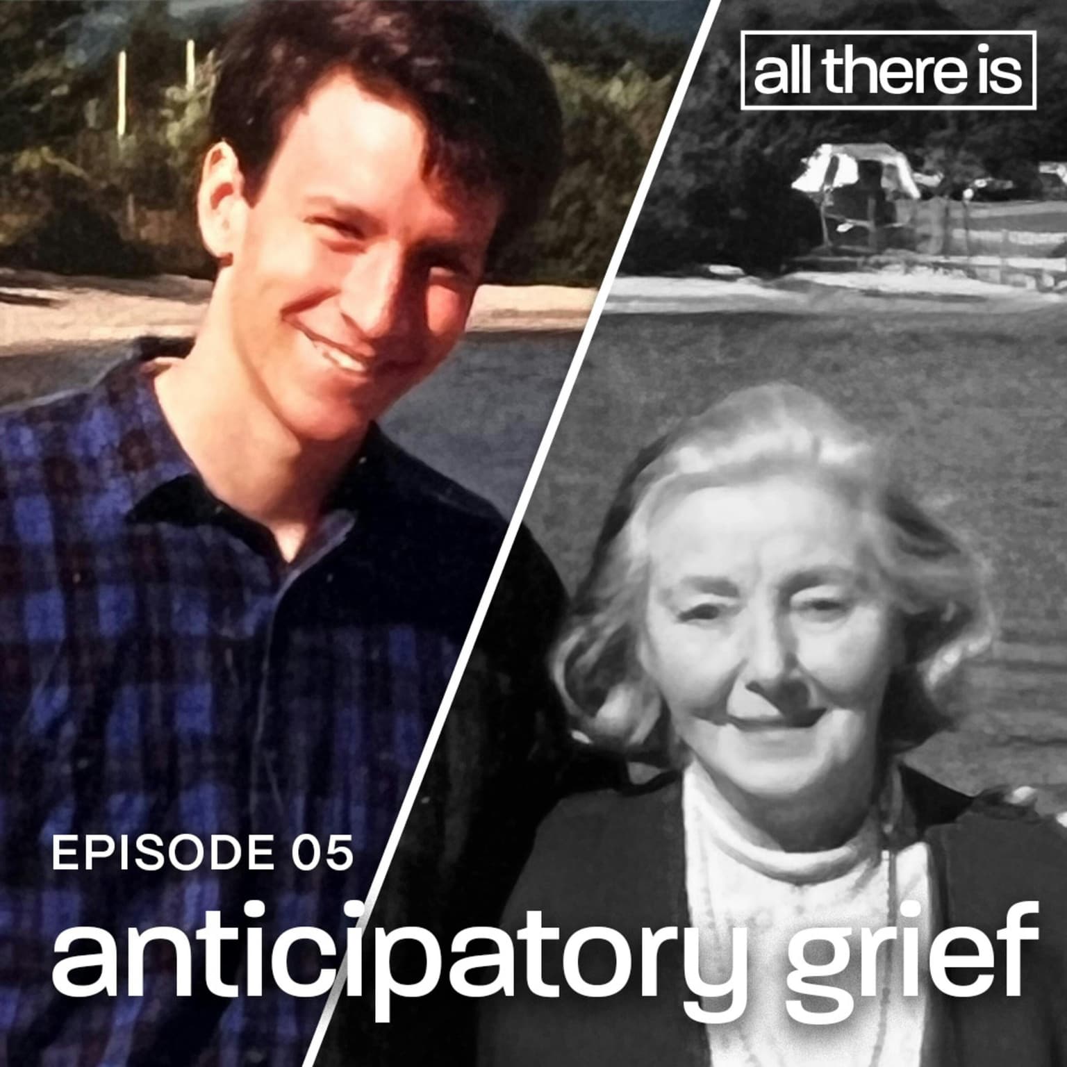 Anticipatory Grief artwork