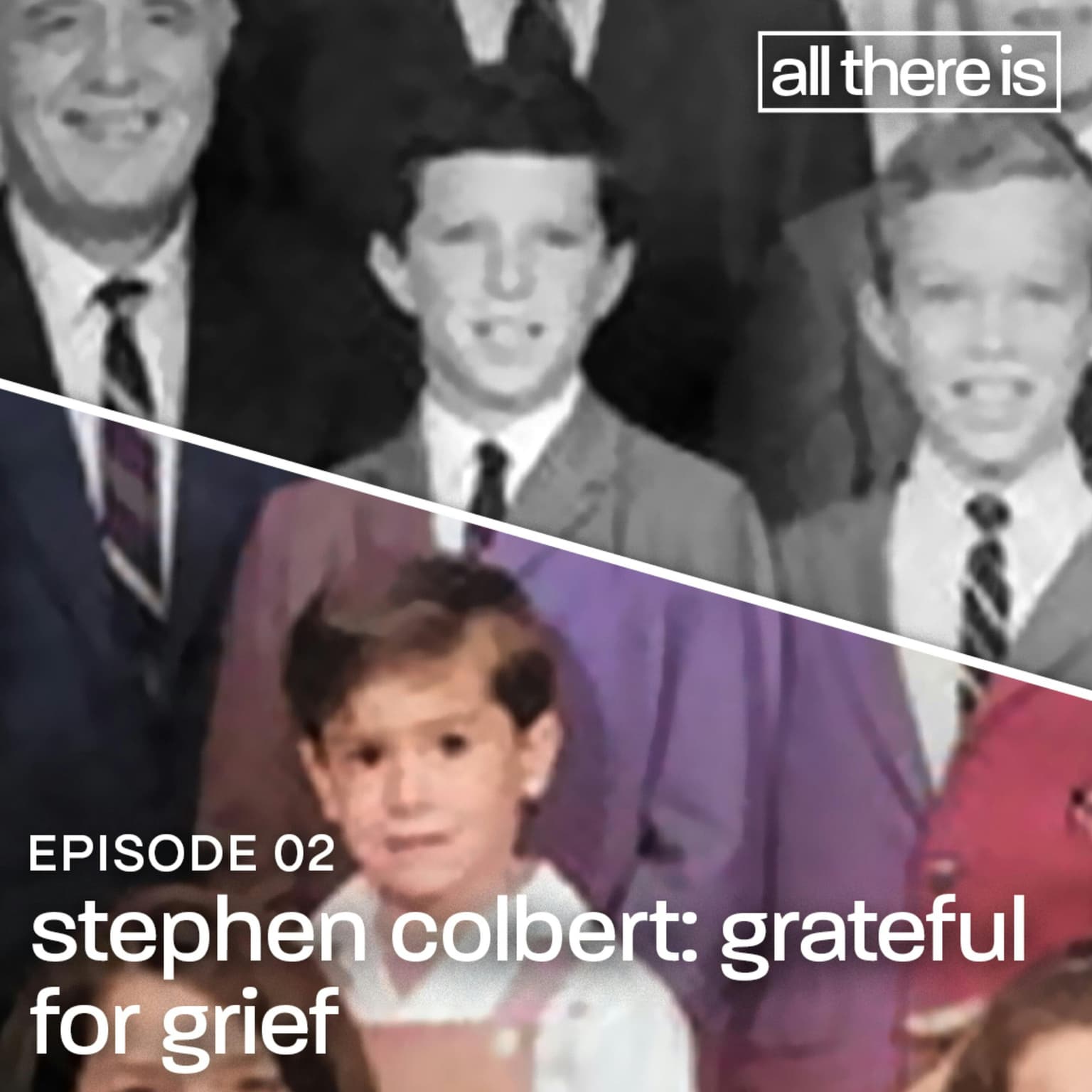 Stephen Colbert: Grateful for Grief artwork