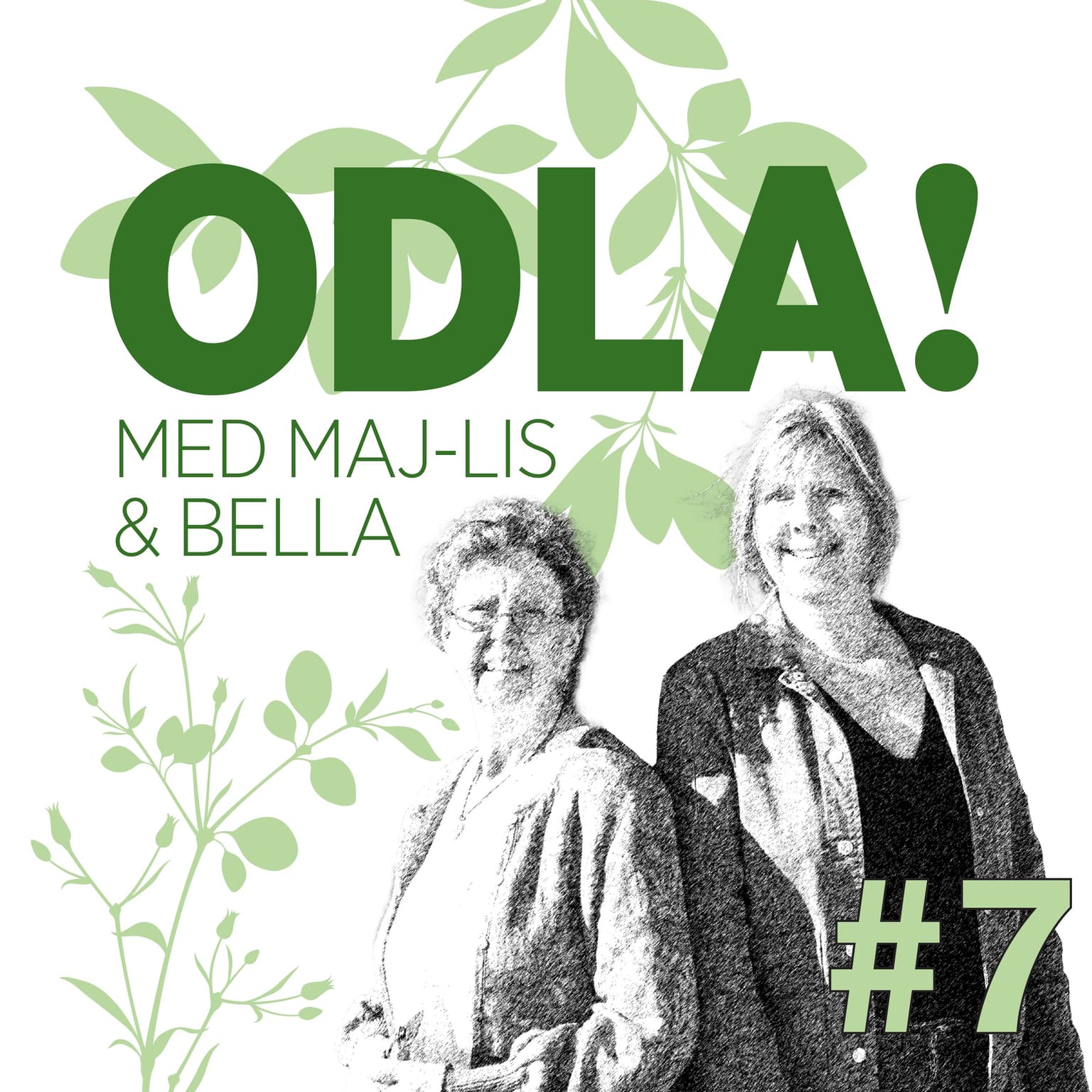 Magnoliamagi, bladlöss och okastade handdukar artwork