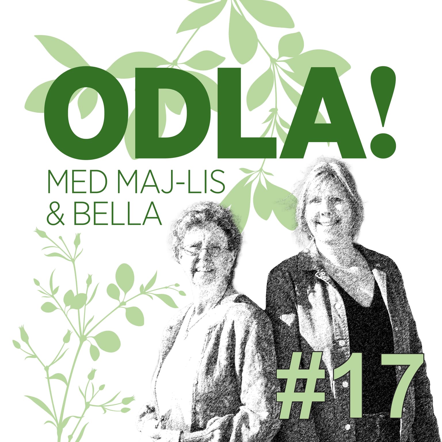 ODLA!s vänner, lövplattmask och praktfulla pelargoner artwork