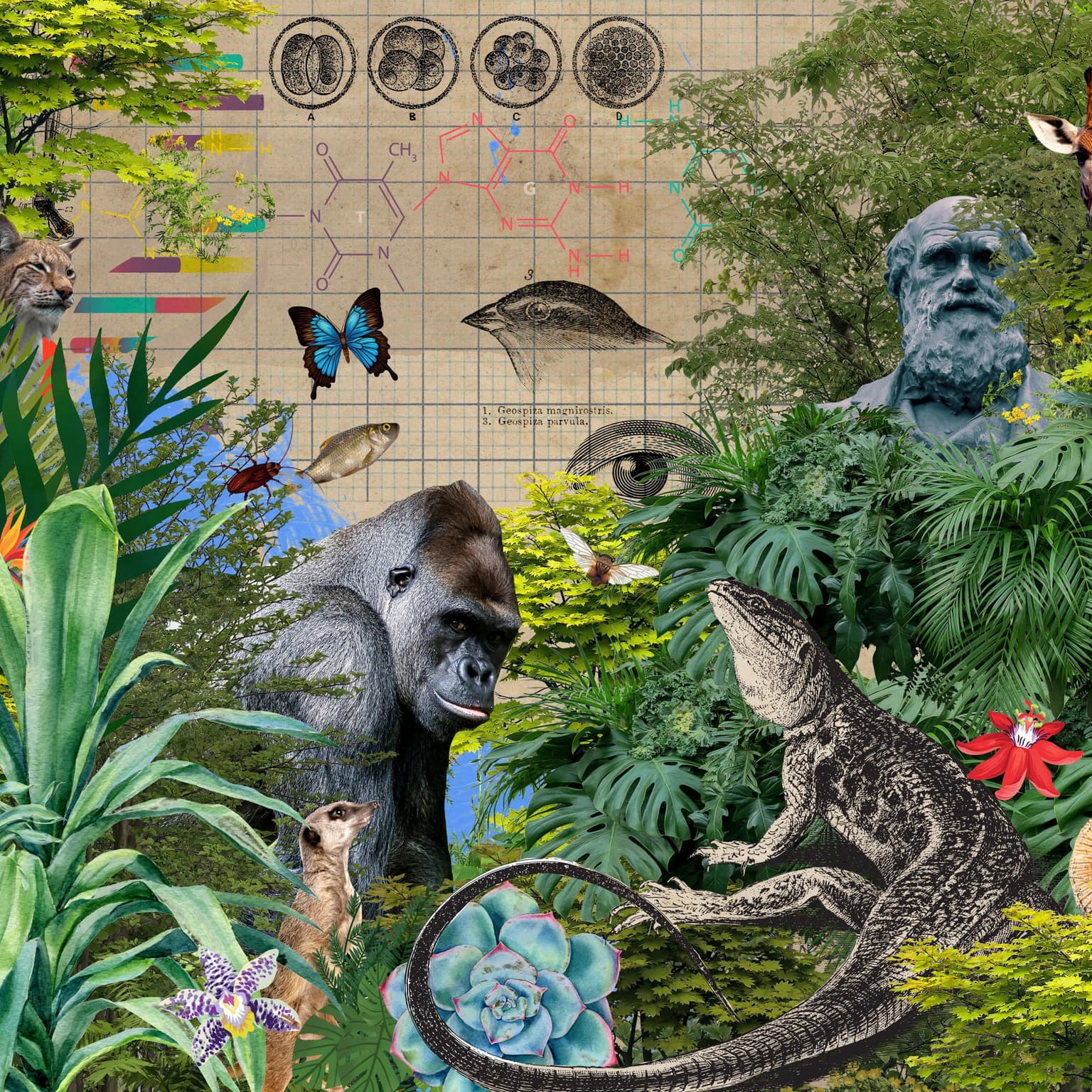 From the archive: Do we need a new theory of evolution? artwork