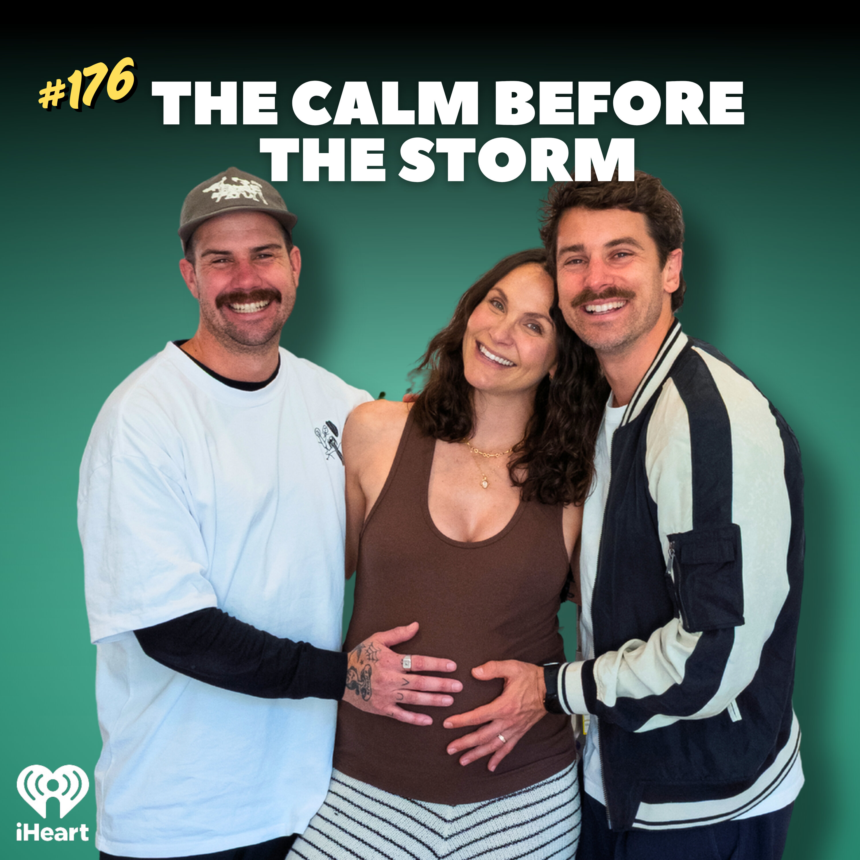 #176 The Calm Before The Storm artwork