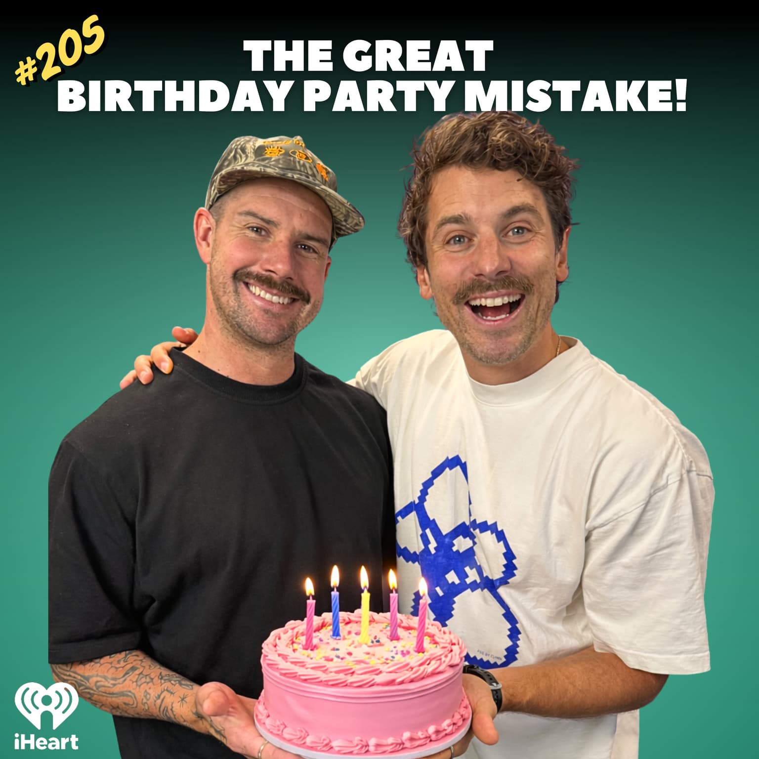 #205 The Great Birthday Party Mistake artwork