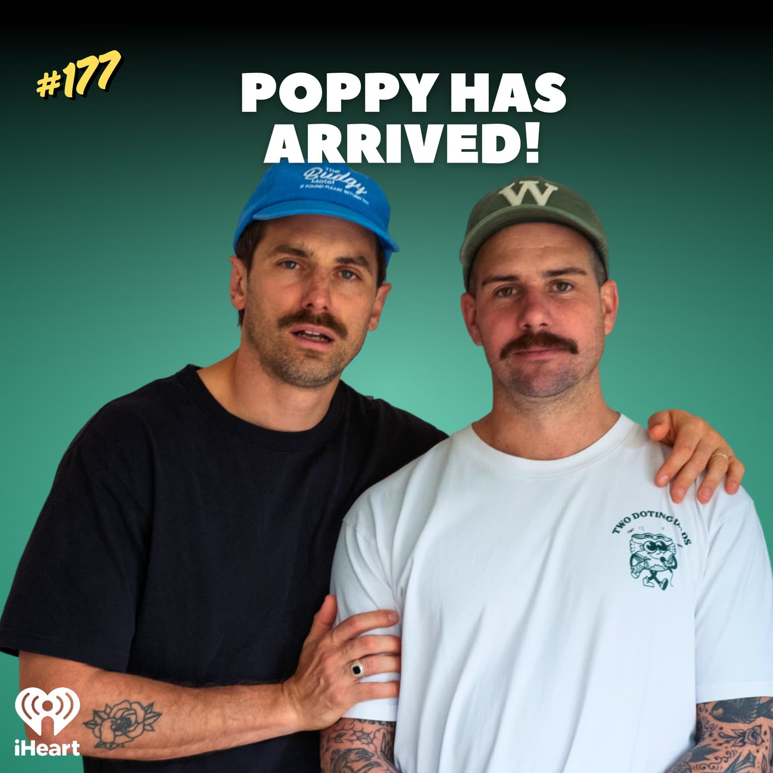 #177 Poppy Has Arrived! artwork
