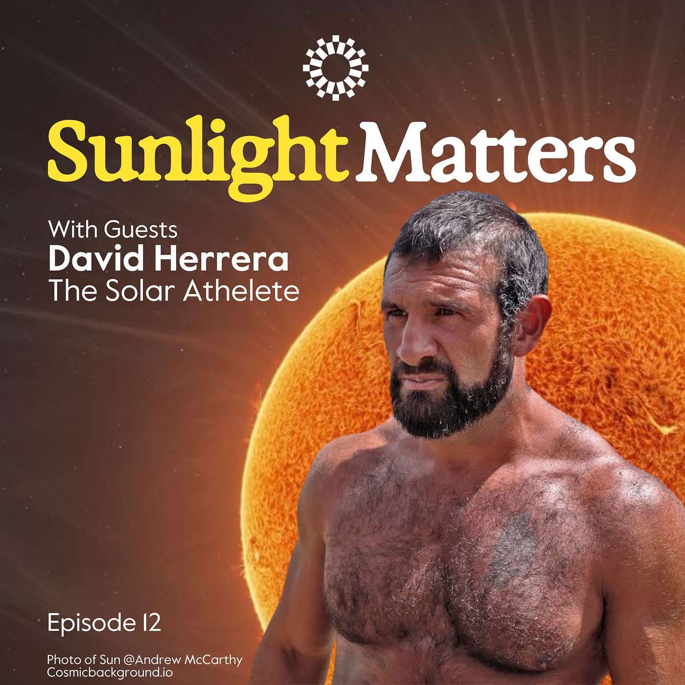 Fitness, the Sun and Winter Protocols artwork