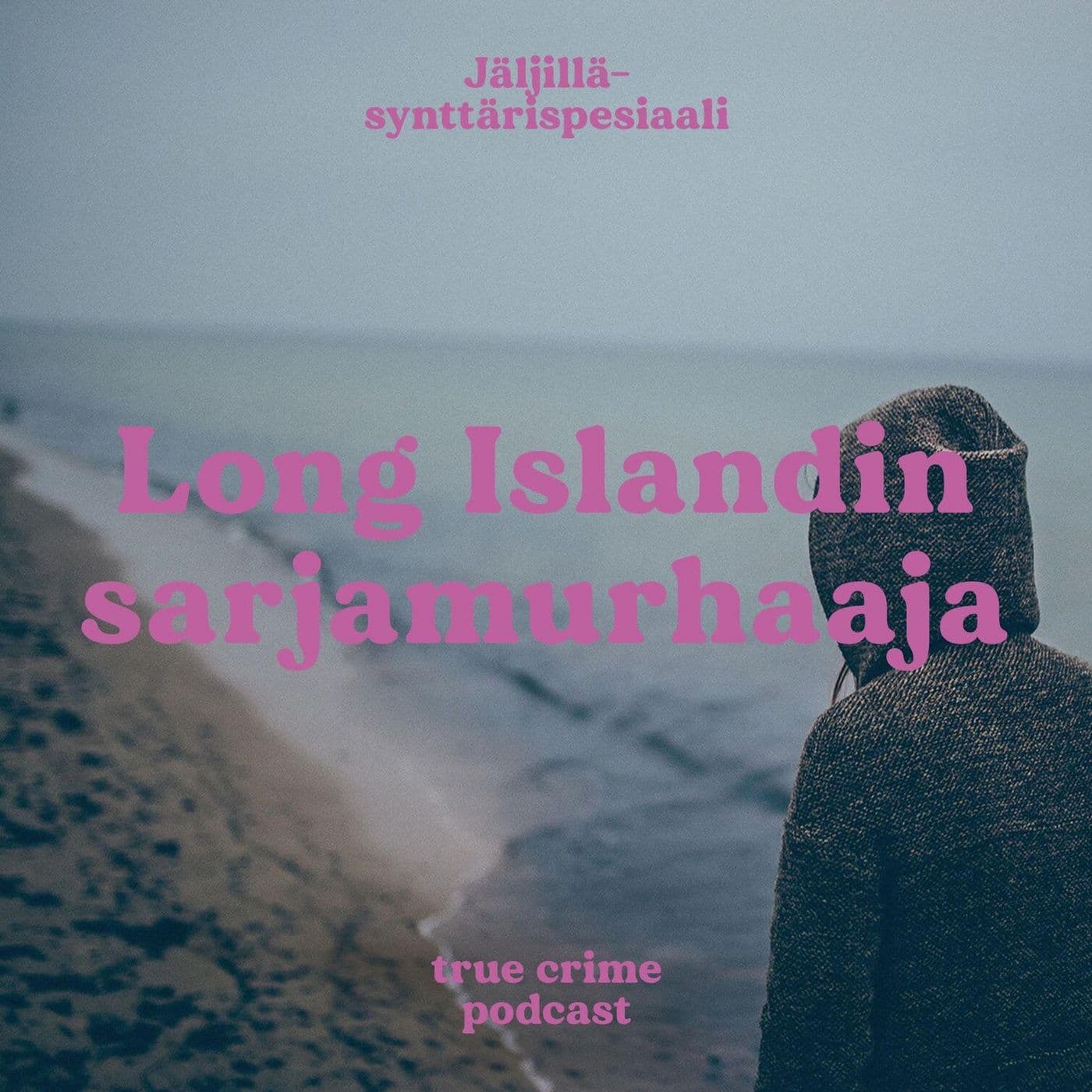 Long Islandin sarjamurhaaja osa 2 artwork