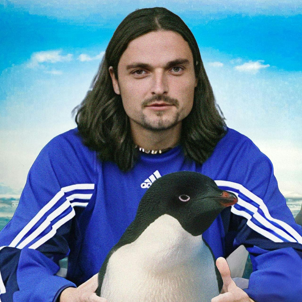 Lutz Pfannenstiel: he kidnapped a penguin (with Jason Manford) artwork